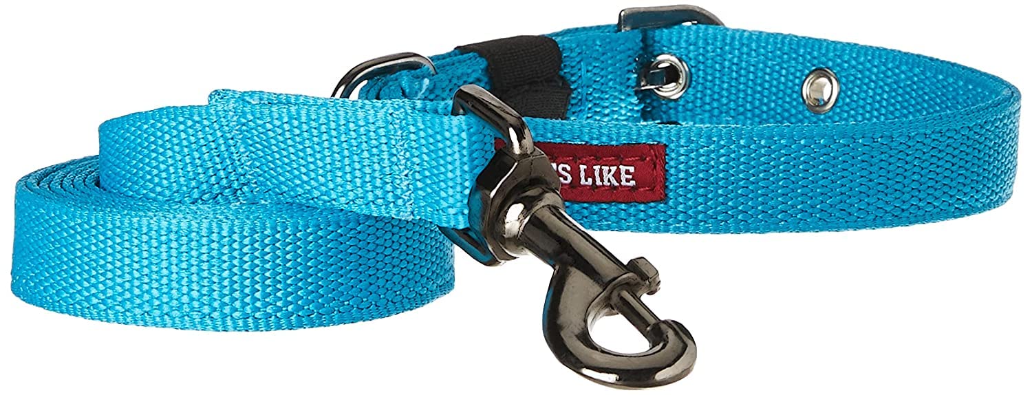 Pets Like Polyester Collar And Leash Set 20 Mm| Dog Collar & Leash Pack Of 2 Comes With SkyBlue Color For Specially Small & Pup