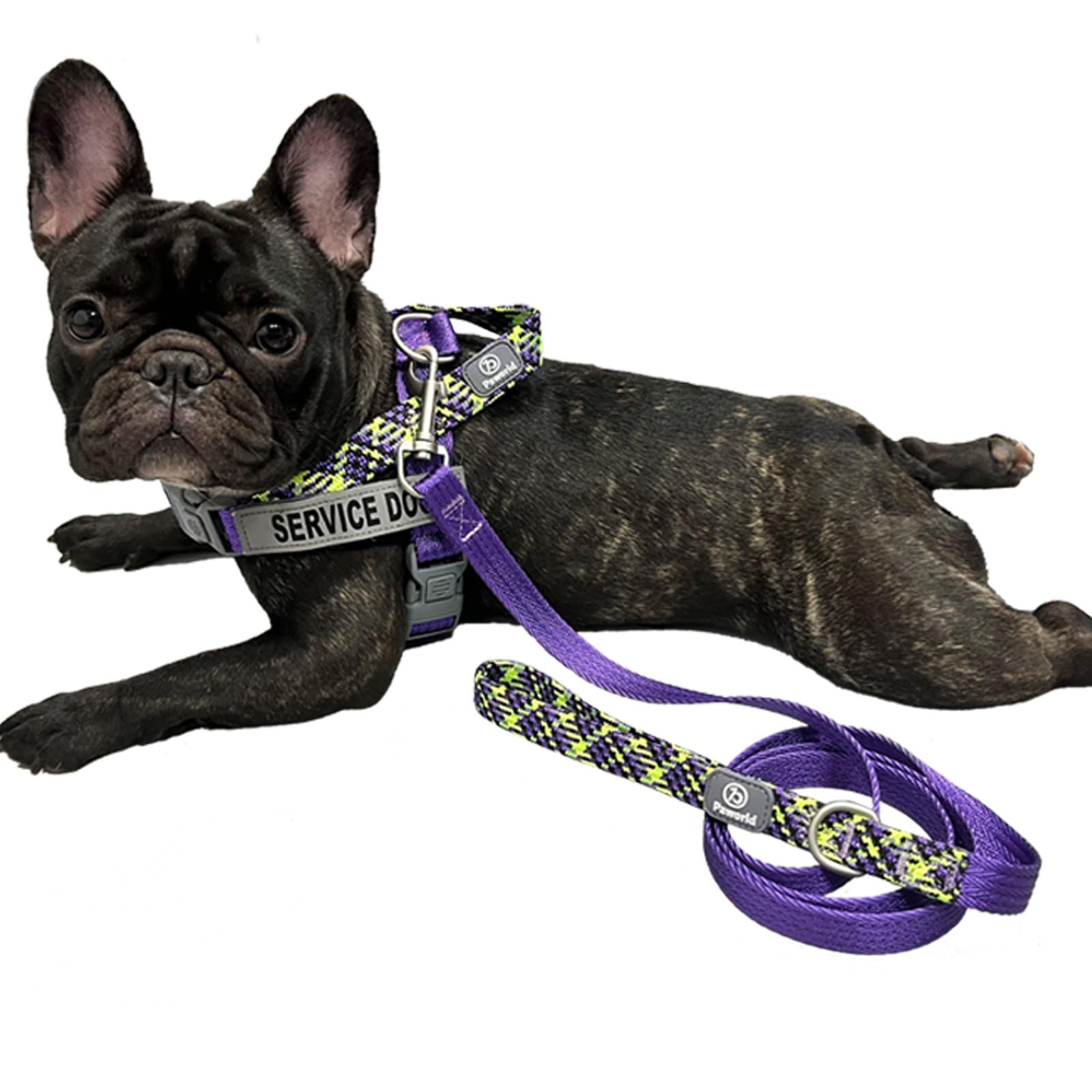 Paworld Dog Leash, 5 Ft Long Dog Lead, Dog Training Leash, Thickened Reflective Nylon Handle With D Ring For Small Medium Large