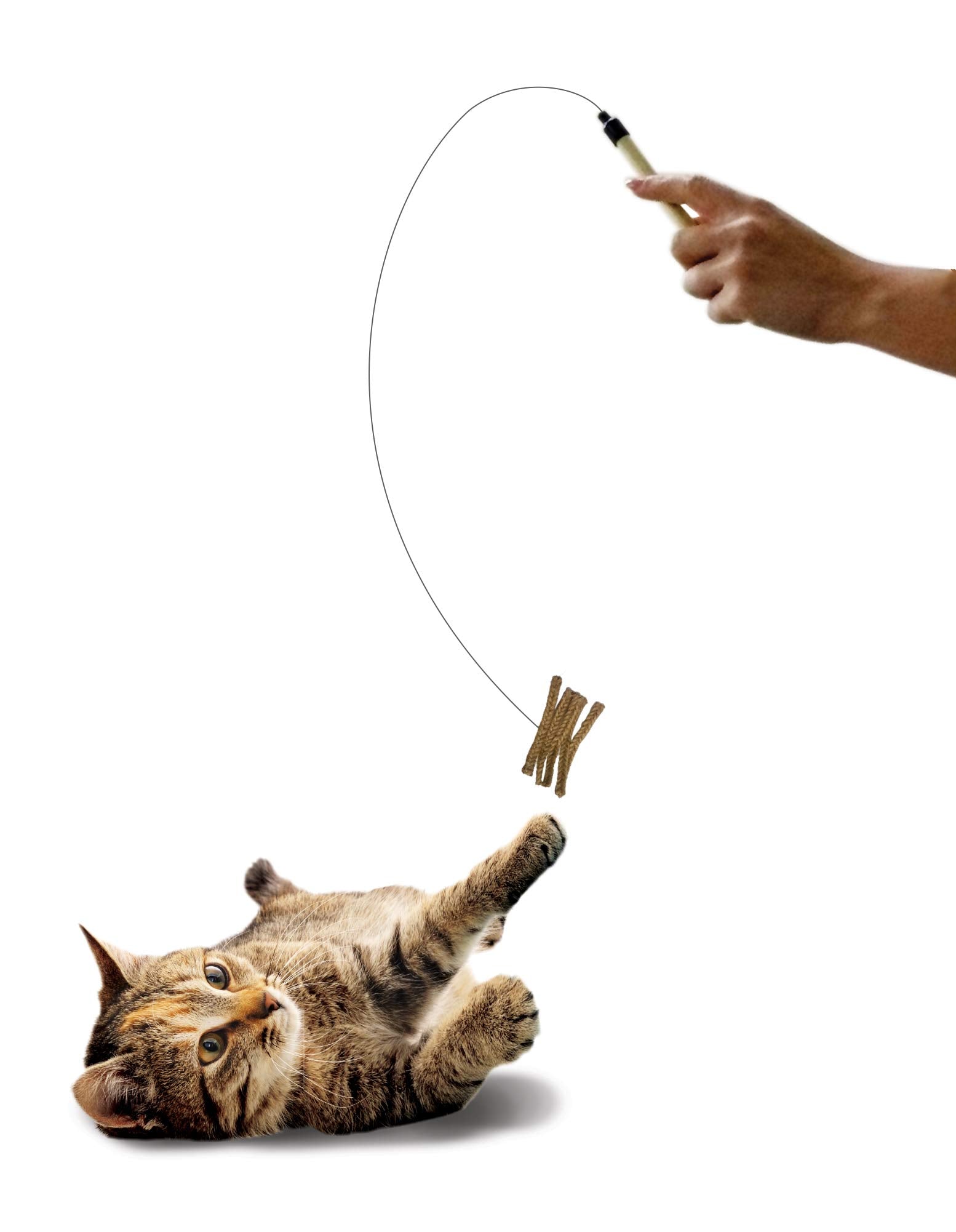 Spot Ethical Pets Teaser Wand Cat Toy, 44', Assorted, Model Number: 52058