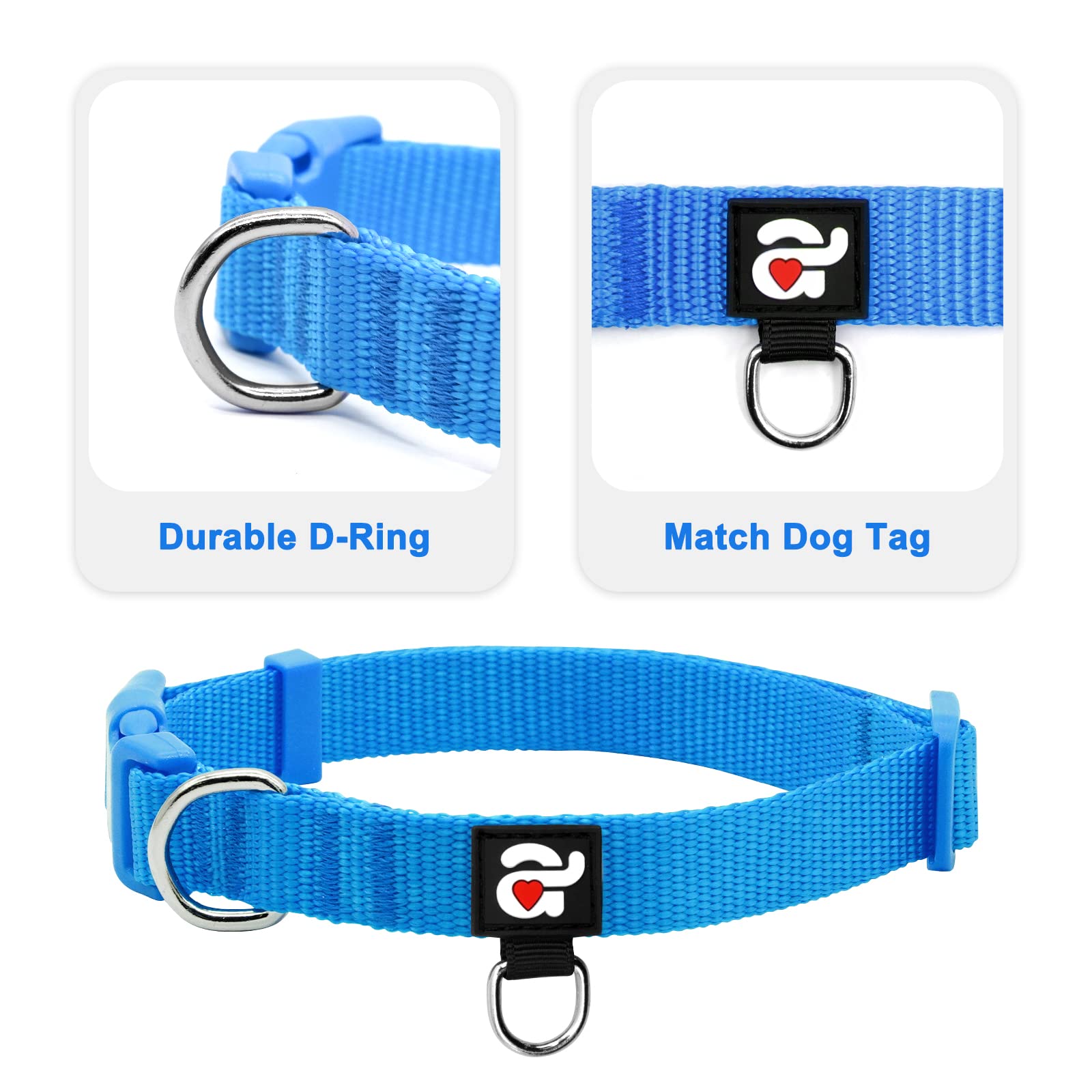 Azuza 3 Pack Dog Collars Comfortable And Adjustable Nylon Dog Collars For Puppy Small Dogs, Xs (8-12Inch),Green, Blue And Royal