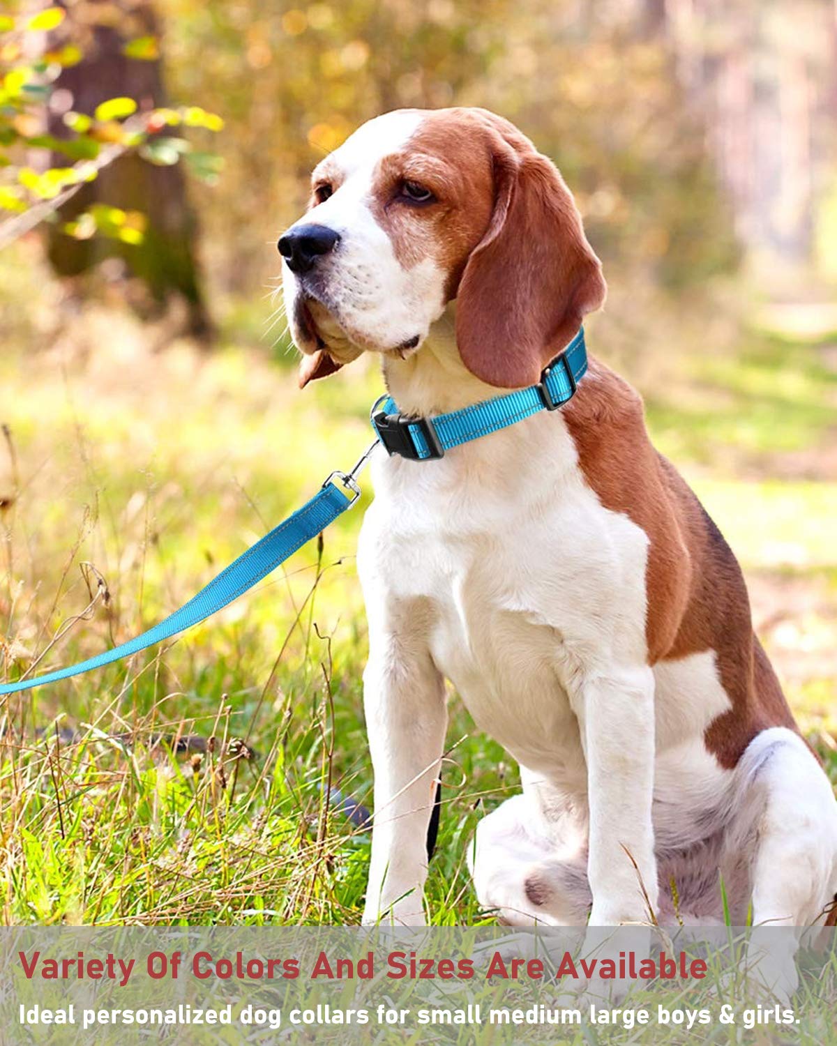 Reflective Dog Collar With Buckle Adjustable Safety Nylon Collars For Small Medium Large Dogs, Sky Blue Xs