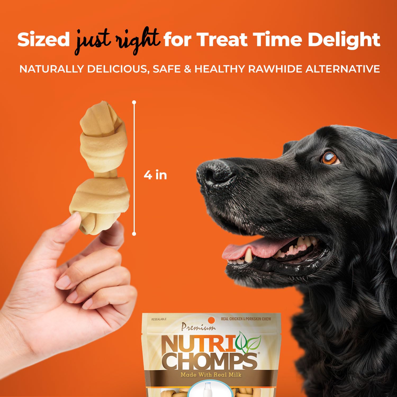 NutriChomps Dog Chews, 4-inch Knots, Easy to Digest, Rawhide-Free Dog Treats, 9 Count Real Milk flavor