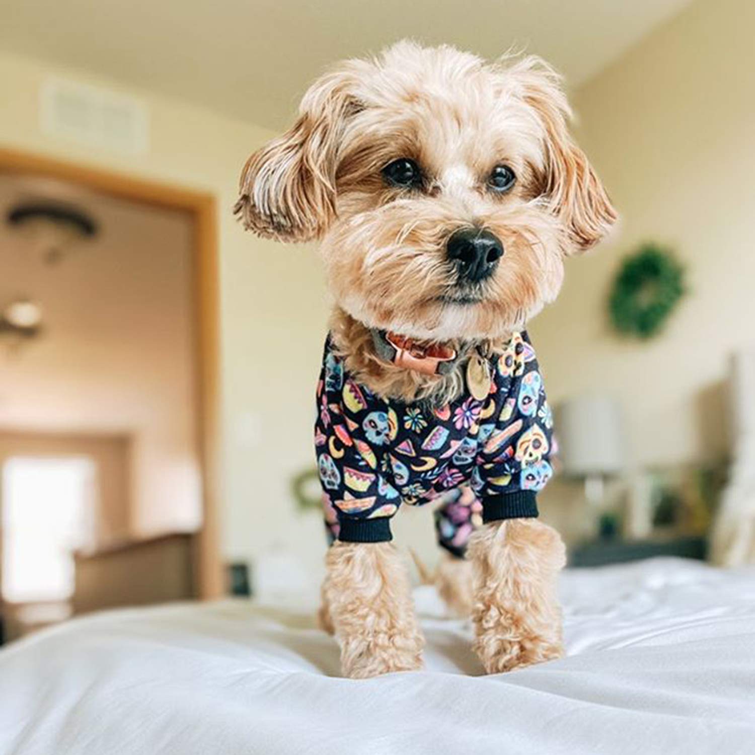 Cutebone Halloween Dog Pajamas Coco Skulls Dog Apparel Dog Jumpsuit Pet Clothes Pajamas P73Xxl