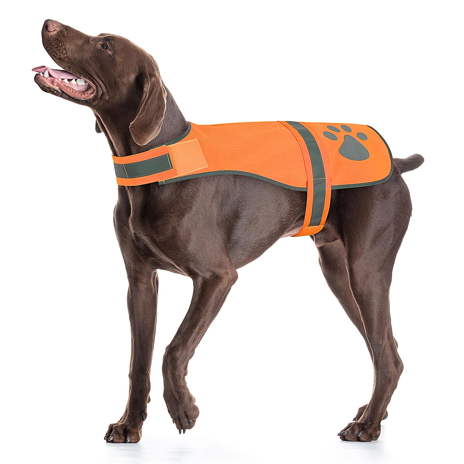 Candofly Reflective Dog Vest, High Visibility Safety Pet Apperal Hunting Jacket For Night Walking& Camping (Orange, X-Large)