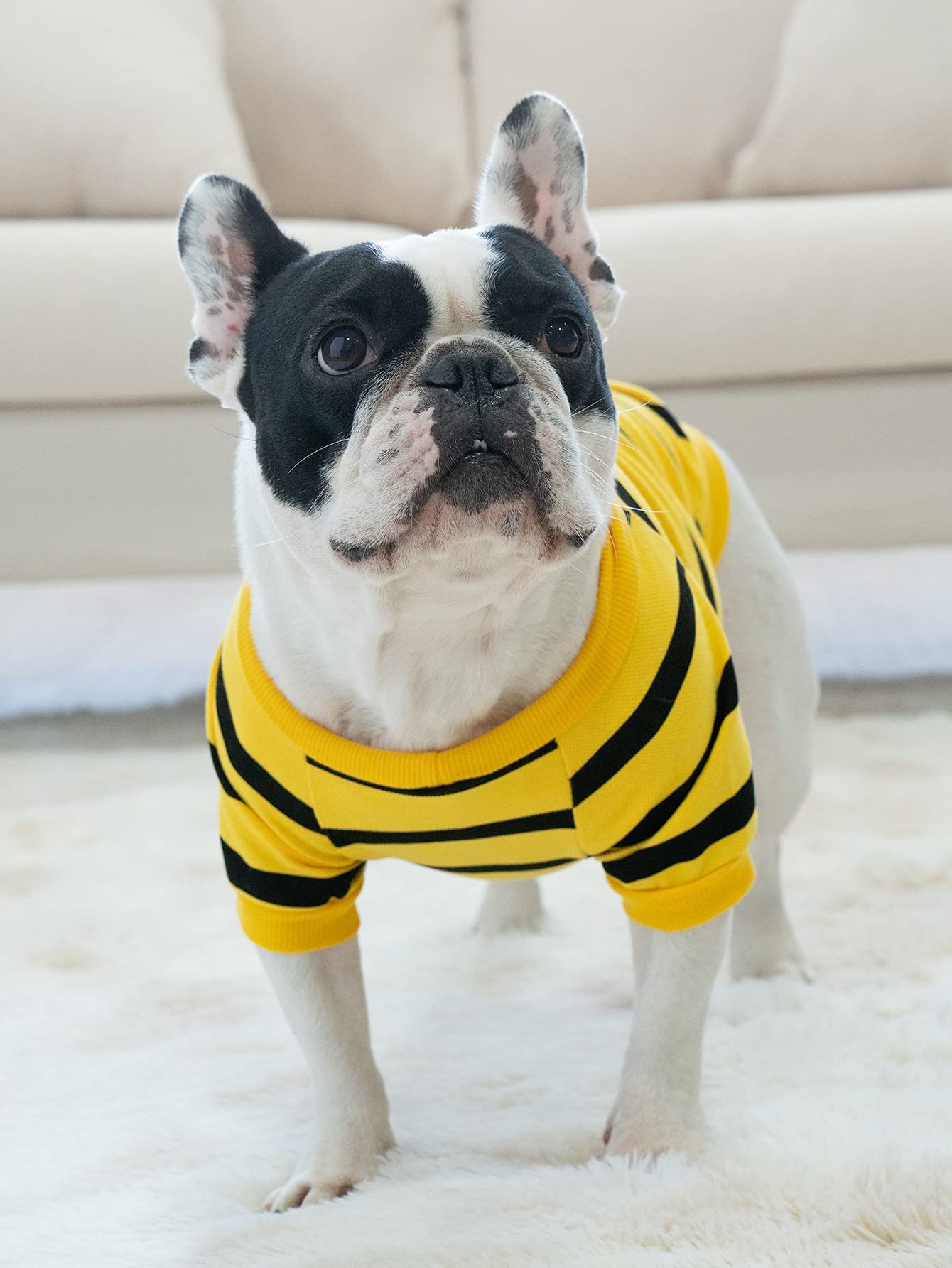 2 Pack French Bulldog Striped T Clothes T-Shirt For Medium Dogs Tee Shirts For Boston Terrier Pitbull Bichon Spring Summer Puppy