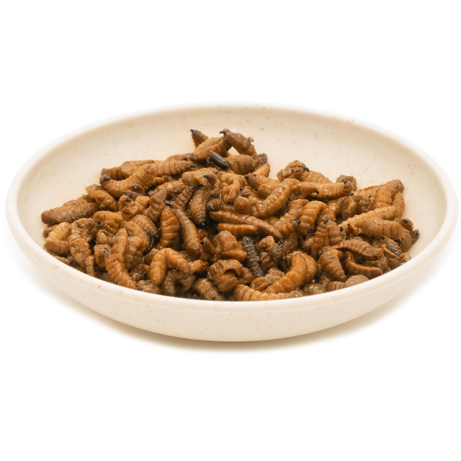 JADINGSFARM 6 Pack Canned Black Soldier Fly Larvae for Reptiles, Fish, Birds and Small Animals, BSF, Healthy High Protein Treat,