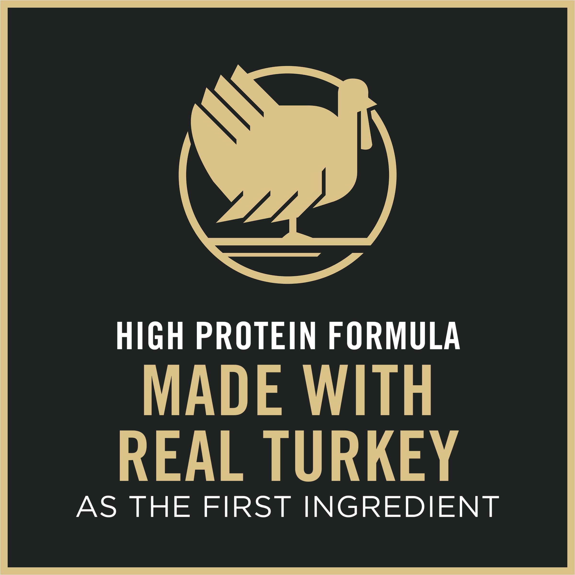 Purina Pro Plan With Probiotics, Sensitive Skin & Stomach, Natural Dry Cat Food, Turkey & Oat Meal Formula - 5.5 lb. Bag