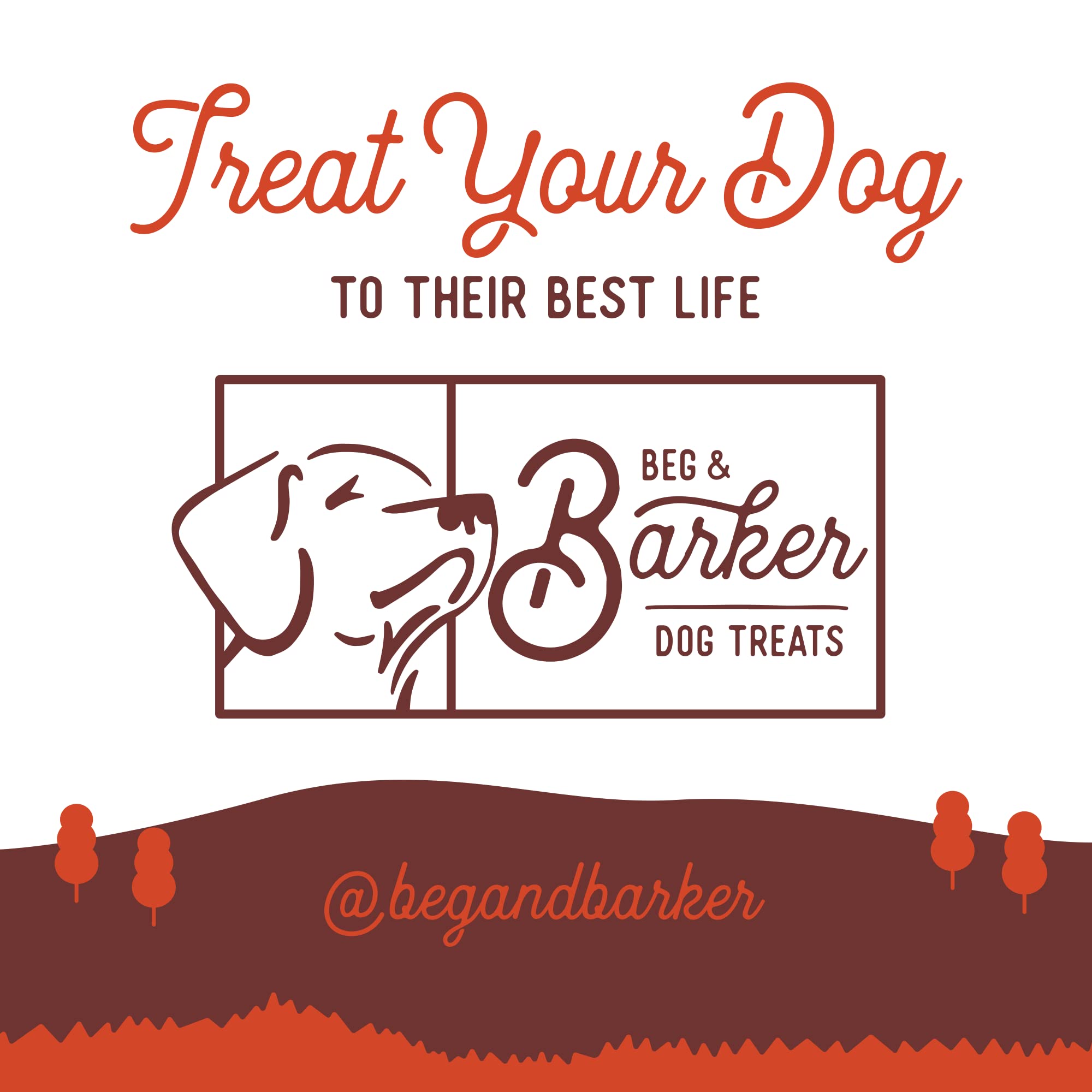 Beg & Barker Pork Jerky for Dogs (10 oz, Pack of 1) - Dog Training Treats - Natural Dog Treats Made in The USA - Grain Free, Dia