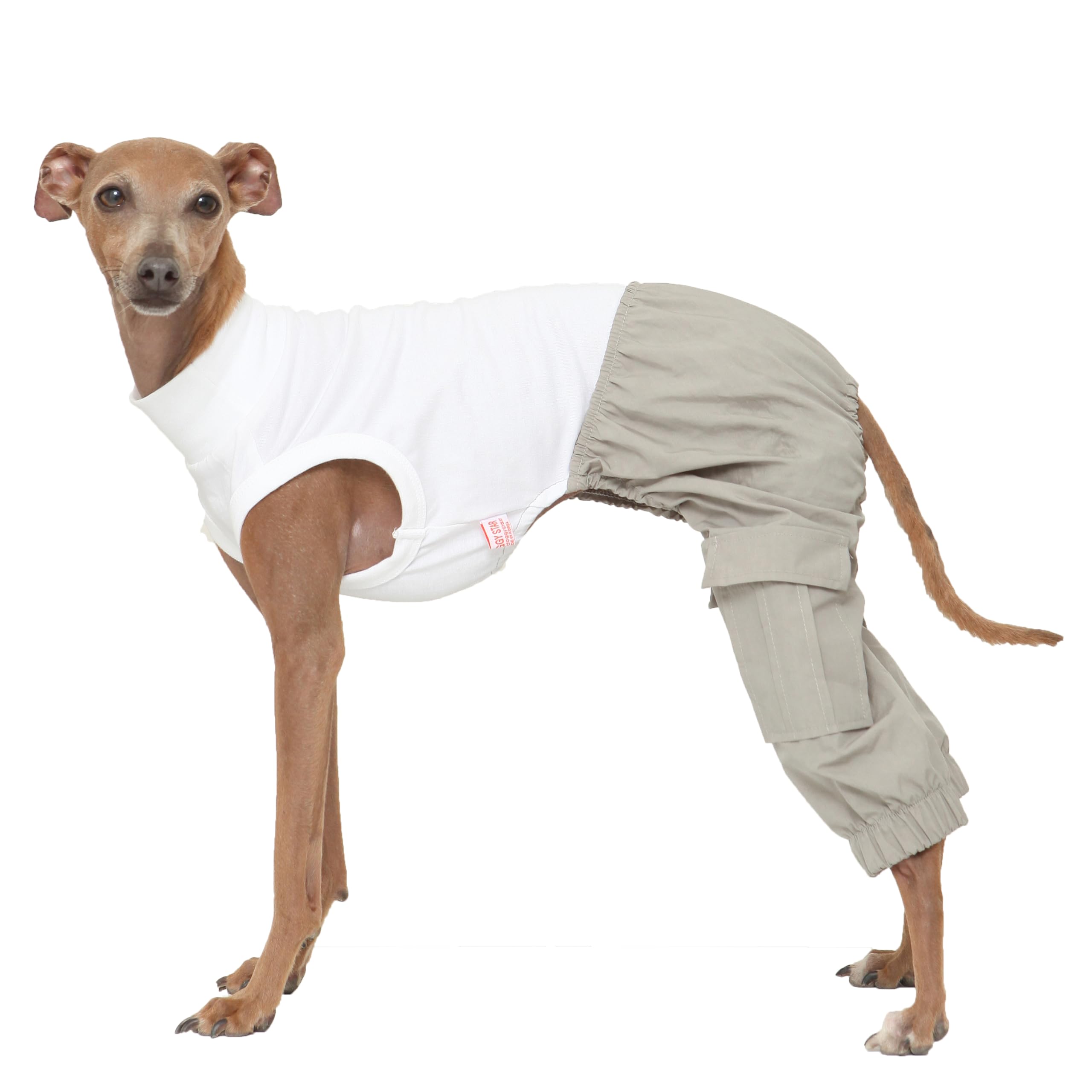 D Doggy Star Italian Greyhound Clothes Cargo Pants Onesie Outfit Whippet For Dog Coat (M,Grey Cargo)