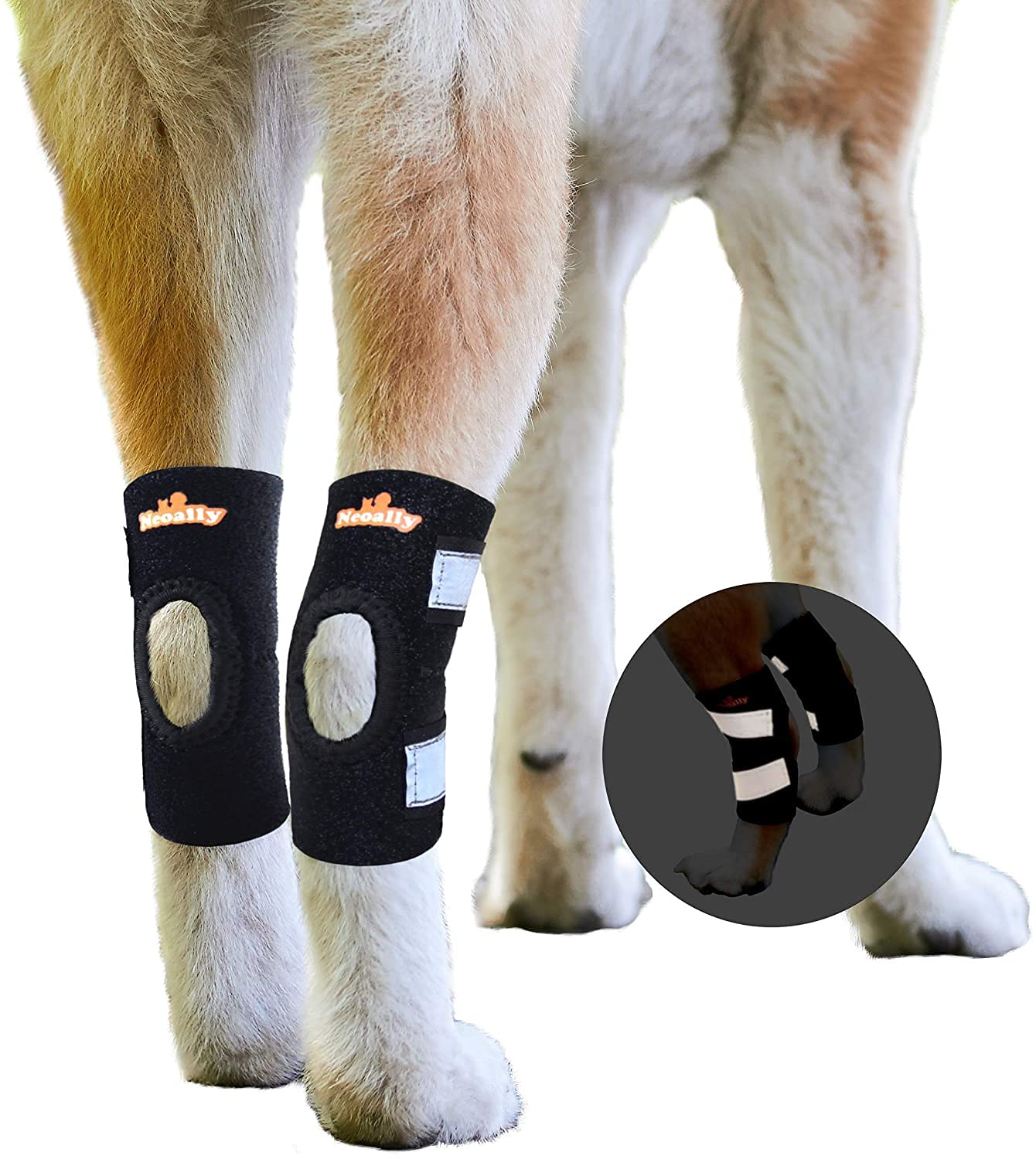 NeoAlly - Short Rear Leg Hock Brace, Dog Leg Brace for Rear Leg, Hock & Ankle Support, Dog Brace for Torn ACL & CCL, Dog Leg Sle