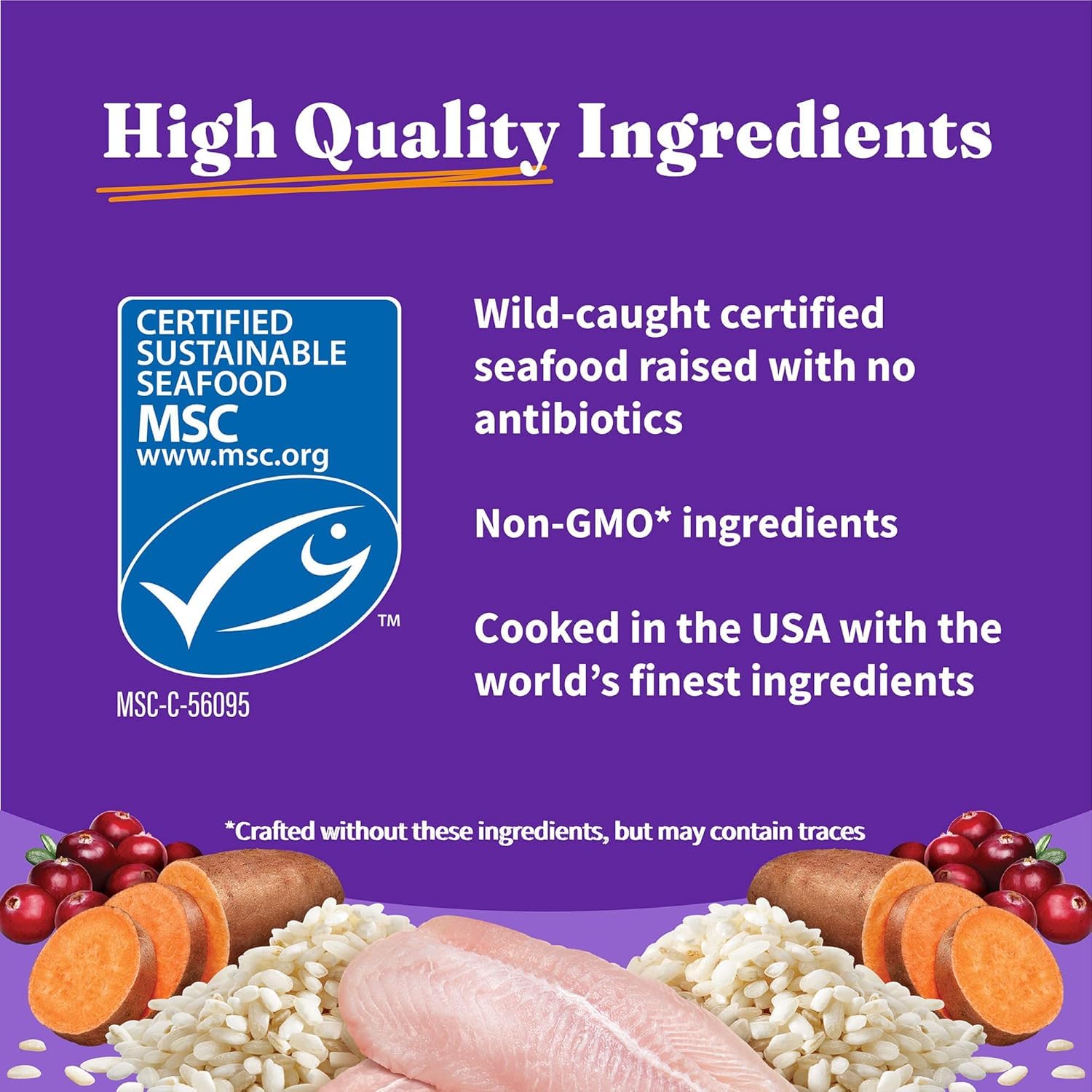 Halo Holistic Cat Food Wild Caught Salmon & Whitefish Formula, Healthy Grains Dry Cat Food, For Sensitive Stomach Support, Kibbl