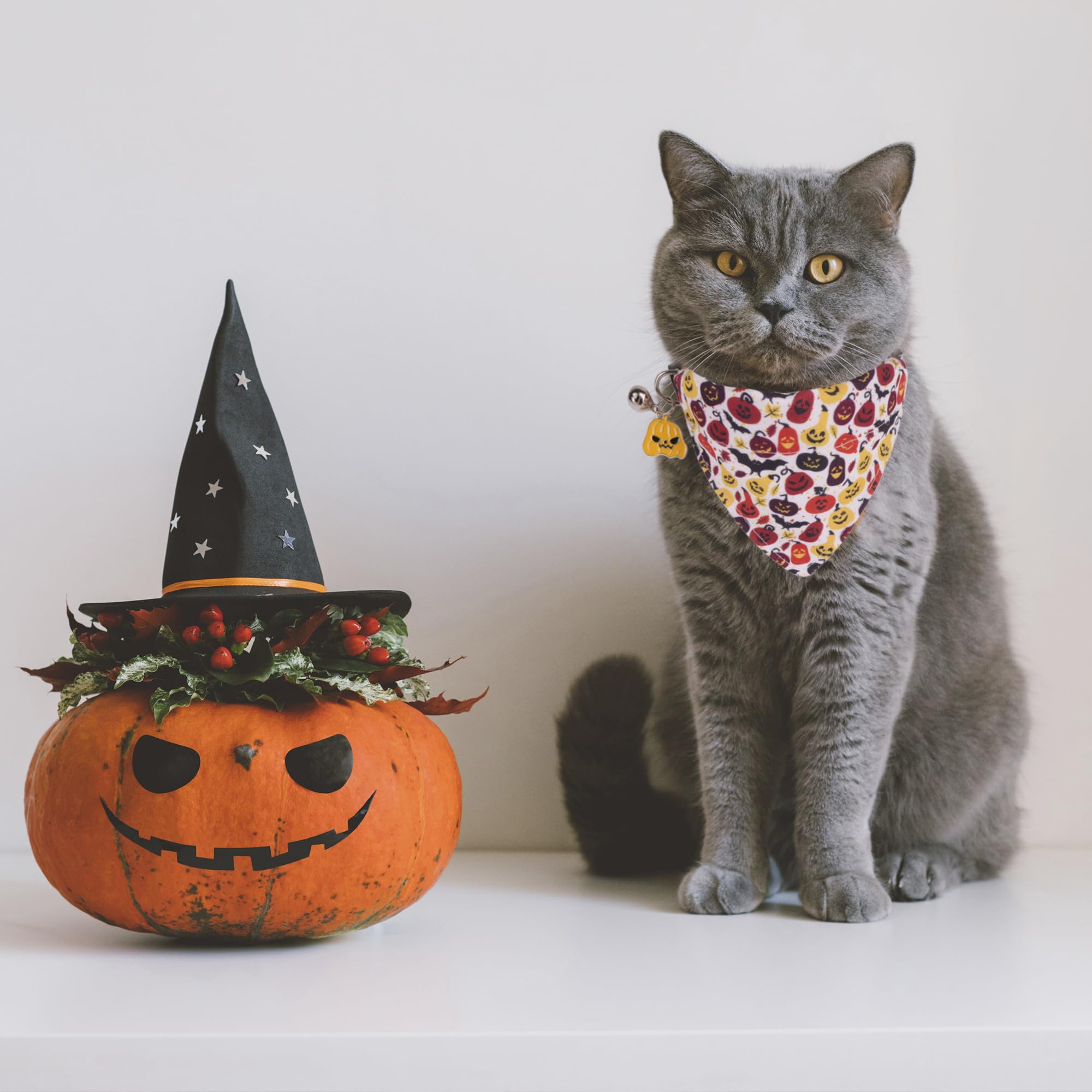 Adoggygo Halloween Cat Collar With Bandana, 2 Pack Halloween Kitten Bandana Collar, Pumpkin Pattern Holiday Collars For Cat Kitt