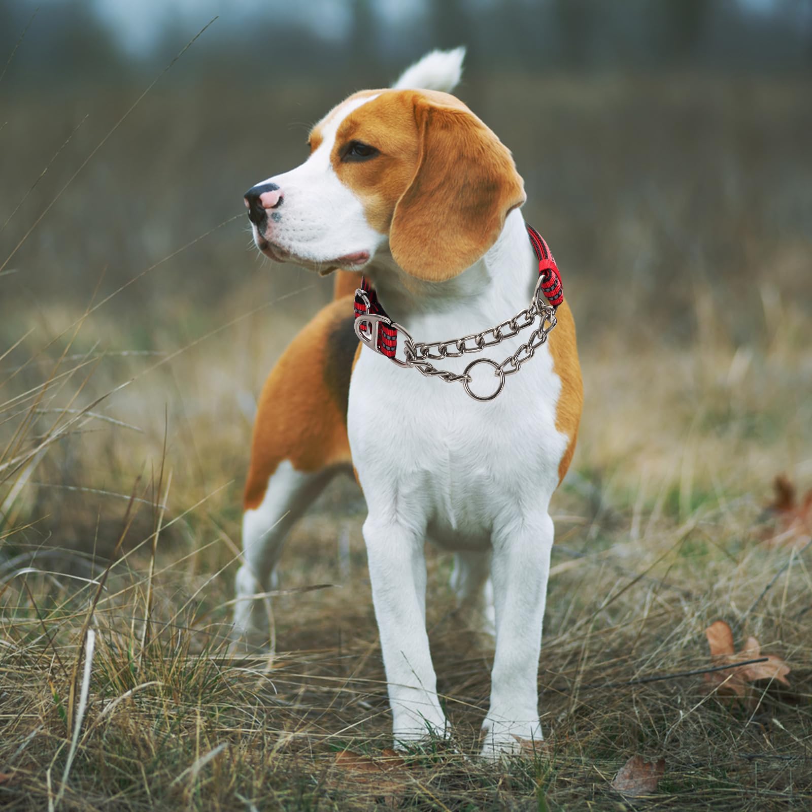 Martingale Dog Collar For Training,Adjustable No Pull Reflective Collar With Chain For Xxl Dogs Secure/Comfortable Walking Colla