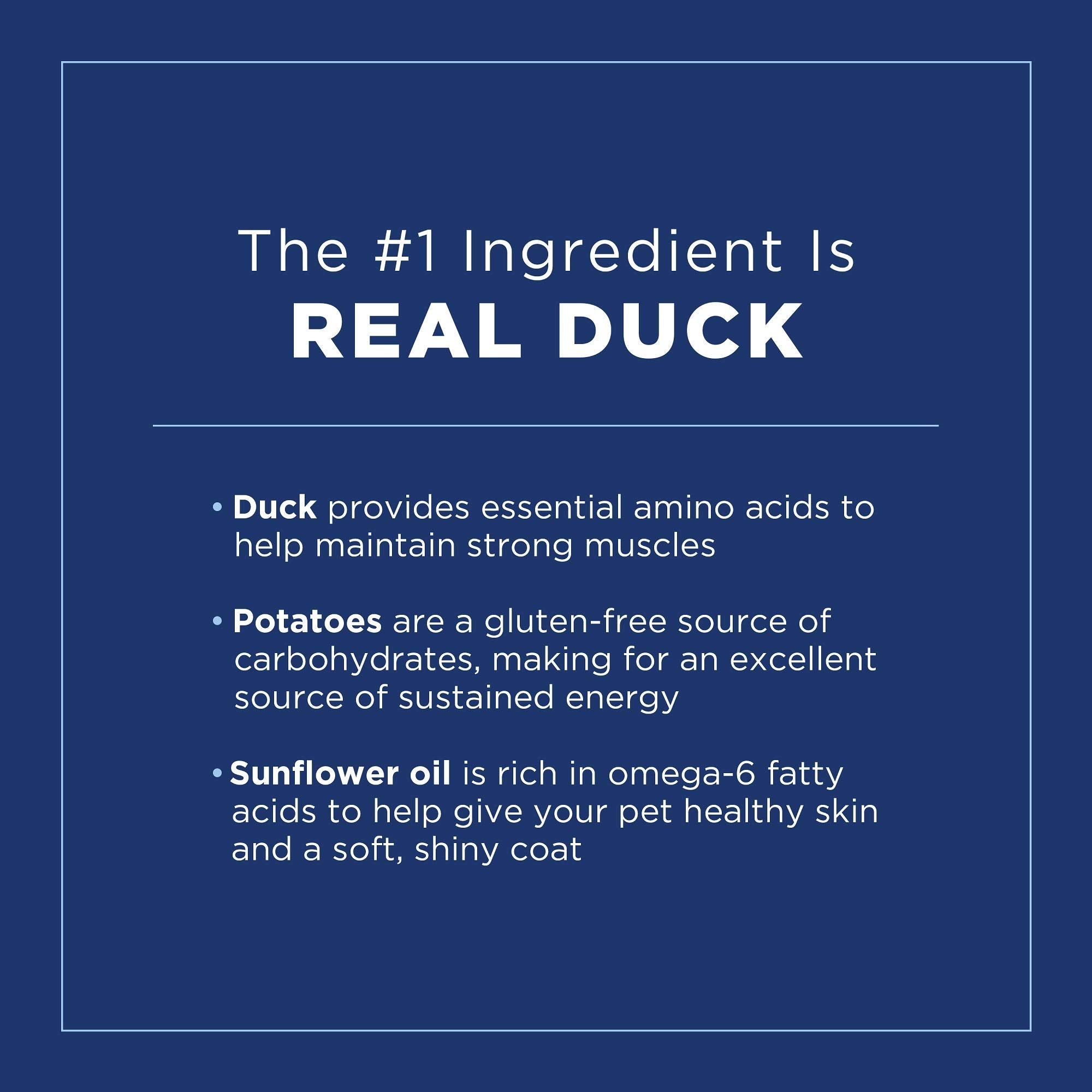 Natural Balance Limited Ingredient Diet Duck & Potato Adult Grain-Free Dry Dog Food 24-lb. Bag