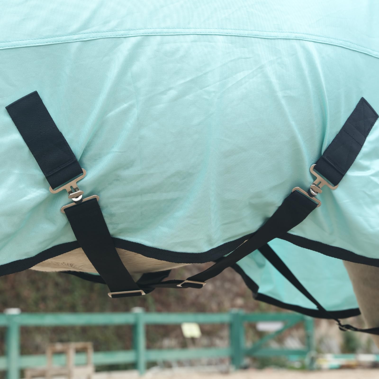 Gallopoff Horse Fly Sheet, Standard Neck Comfy Mesh Fly Sheet For Horses, Equine Summer Sheets Uv-Protective Green 81