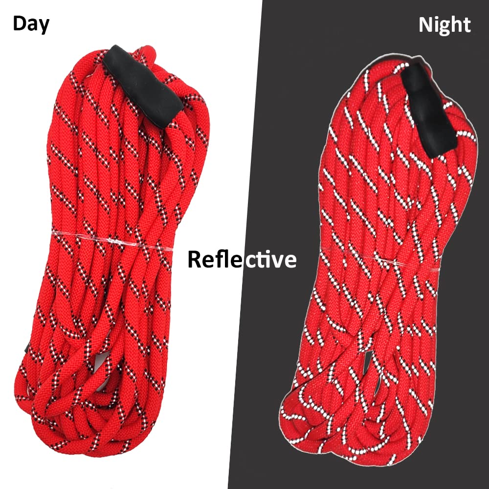 Sepxufore Reflective Long Slip Lead Dog Leash Anti-Choking 12 Ft/20 Ft/30 Ft/50 Ft Rope Training Leash For Medium Dogs Small Puppy Pets (30Ft, Red)