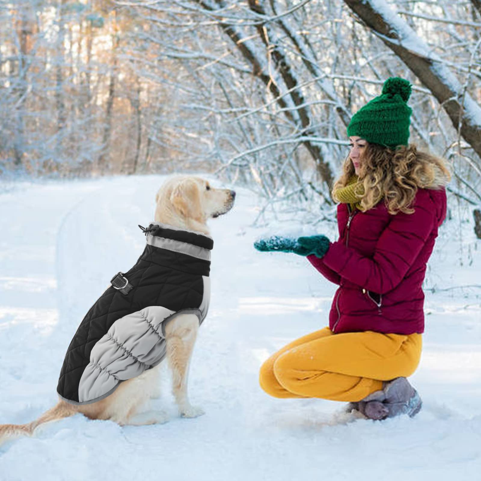 OUOBOB Dog Winter Jacket, Waterproof & Windproof Fleece Apparel, X-Small, Black, Model C96-126MF