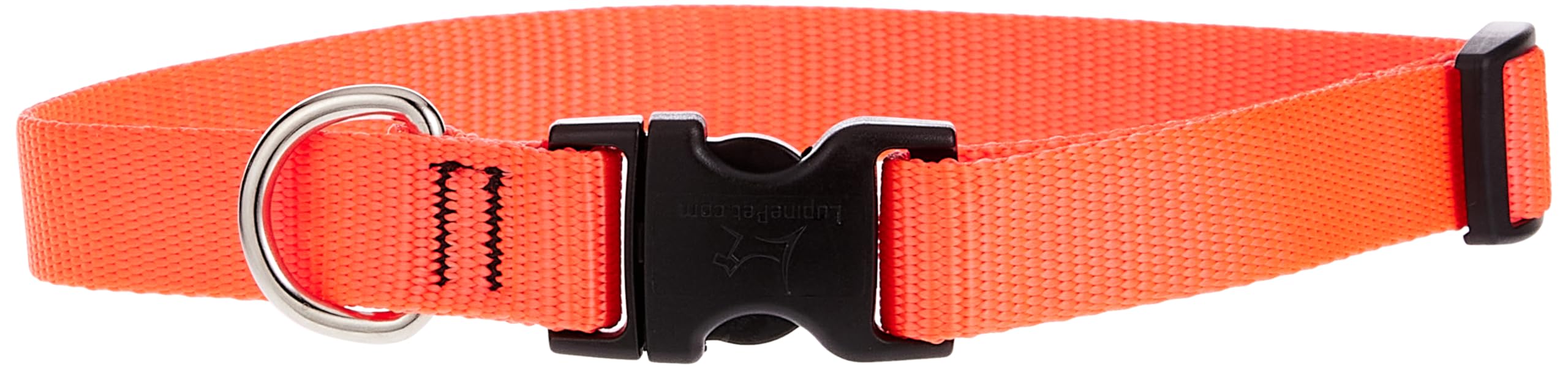 LupinePet Basics 3/4 Blaze Orange 13-22 Adjustable Collar for Medium and Larger Dogs