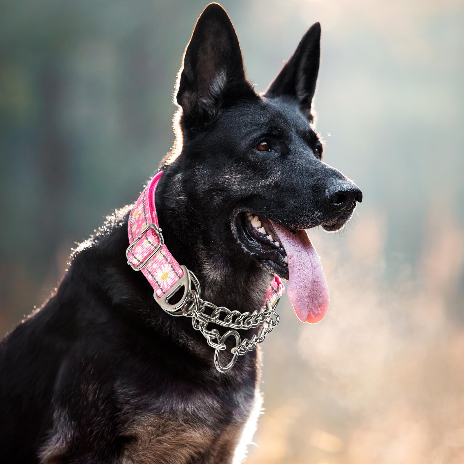 Martingale Collar For Dogs With Pink Daisy,Reflective Nylon Adjustable No Pull Dog Training Chain Collar Training, Walking, Hunt