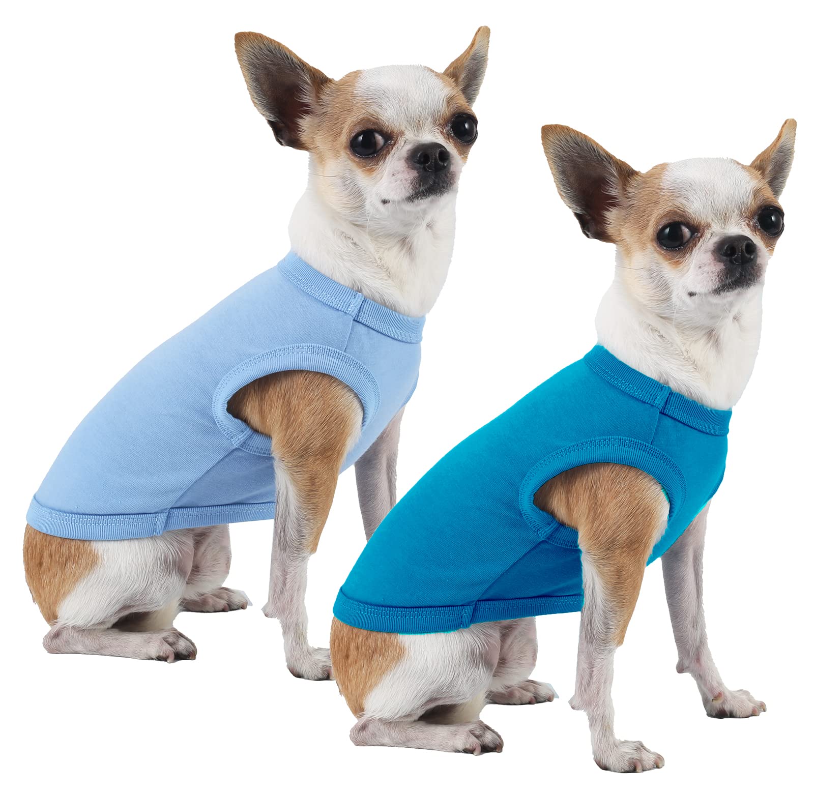 Sychien Dog Blank Blue Shirt,Boy Girl Dogs Cats Tee Shirts,Plain Extra Small Chihuahua T-Shirt,Xs Blue Royal
