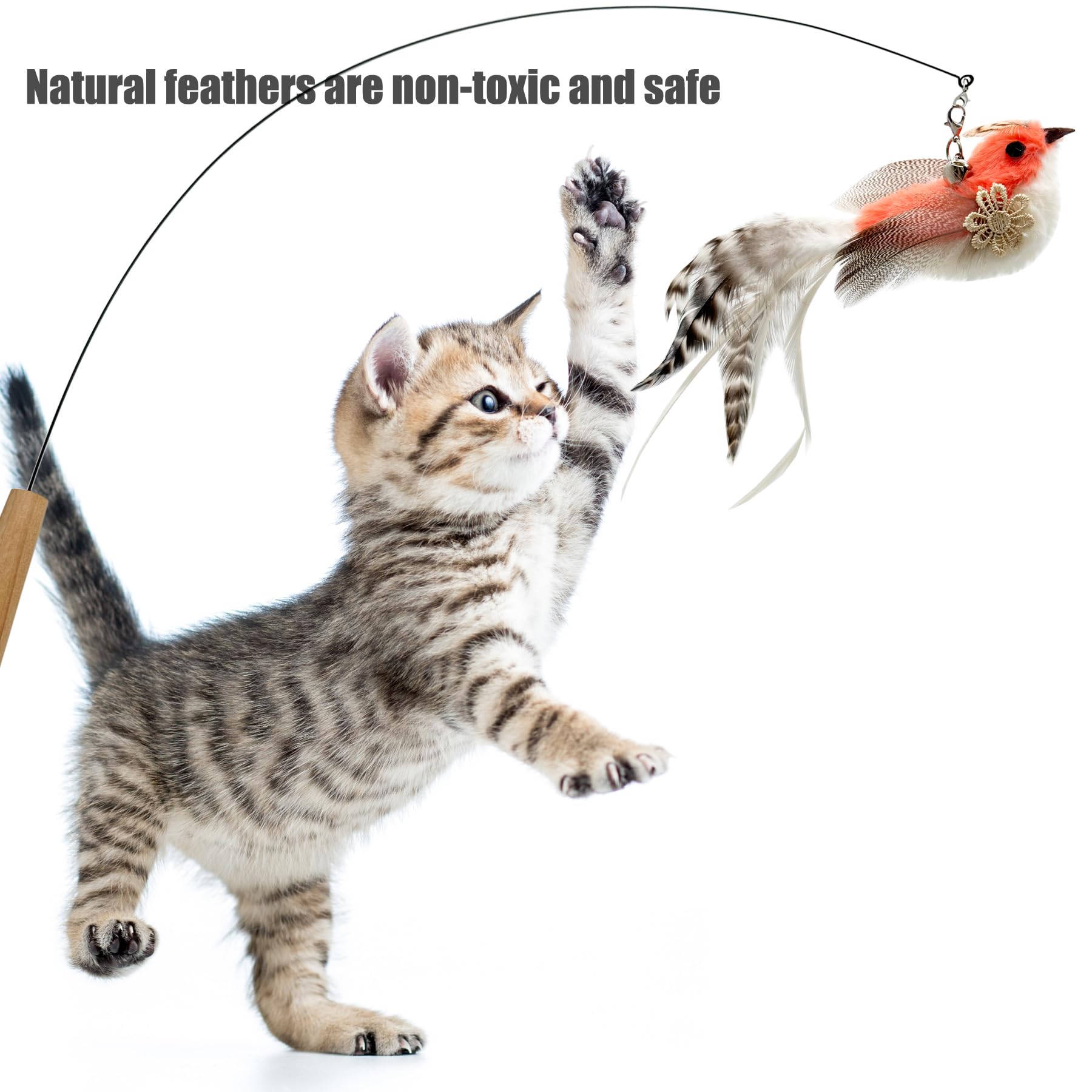 Cateneed Cat Wand Toy, 6 Pieces Interactive Cat Wand Bird Feather Toys For Indoor Cats Play Exercise