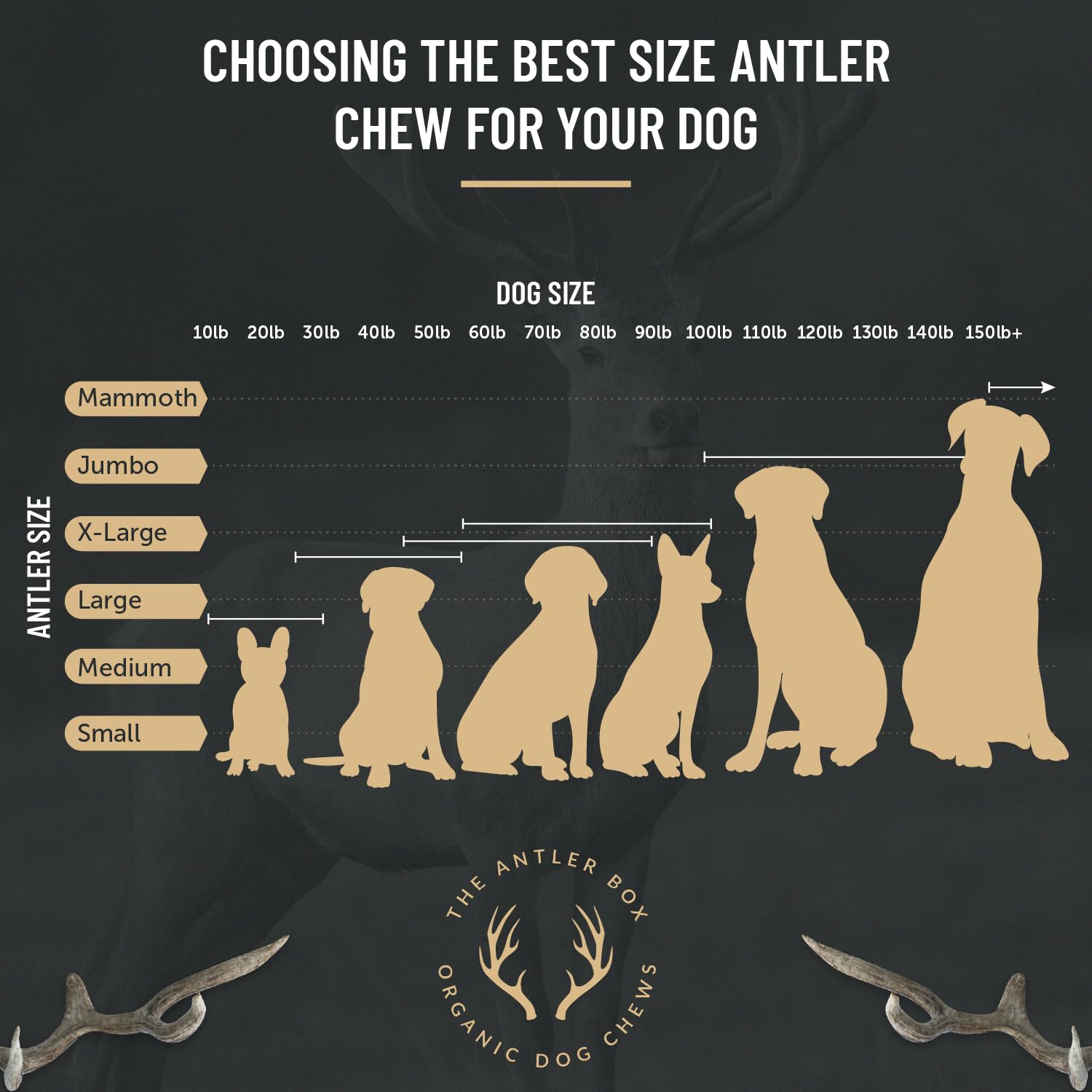 The Antler Box Premium Deer Antler Dog Chews (1 Lb Bulk Pack) (Small(7 To 8 Antlers/Lb