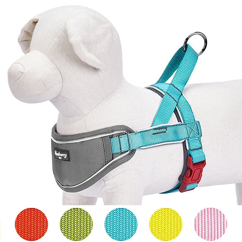 Blueberry Pet 8 Colors Soft & Comfy 3M Reflective Strips Padded Dog Harness Vest, Chest Girth 20.5' - 26', Lake Blue, Medium, Nylon Adjustable Training Harnesses For Dogs