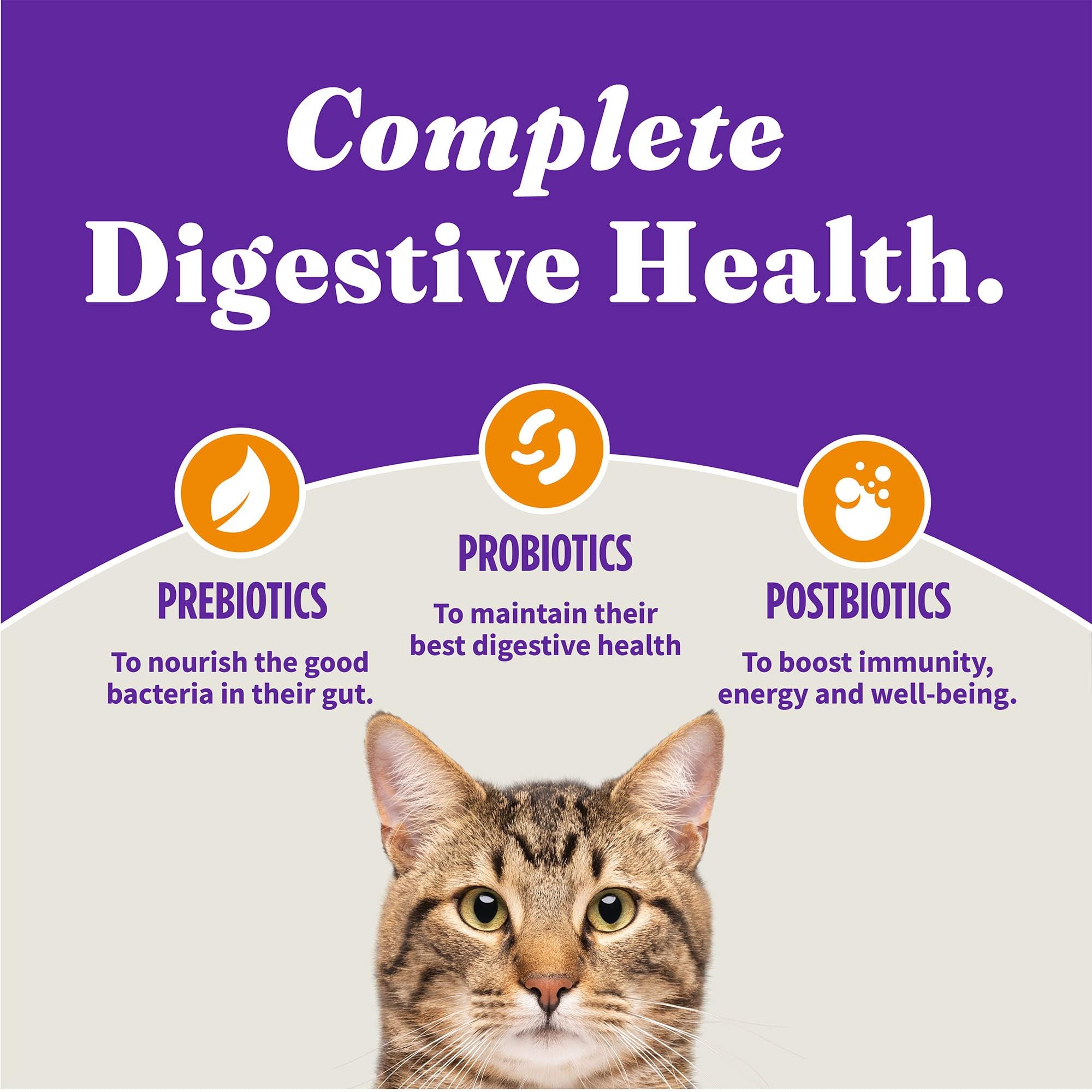 Halo Holistic Indoor Cat Food Dry, Grain Free Cage-free Chicken Recipe for healthy weight support, Complete Digestive Health, Dr