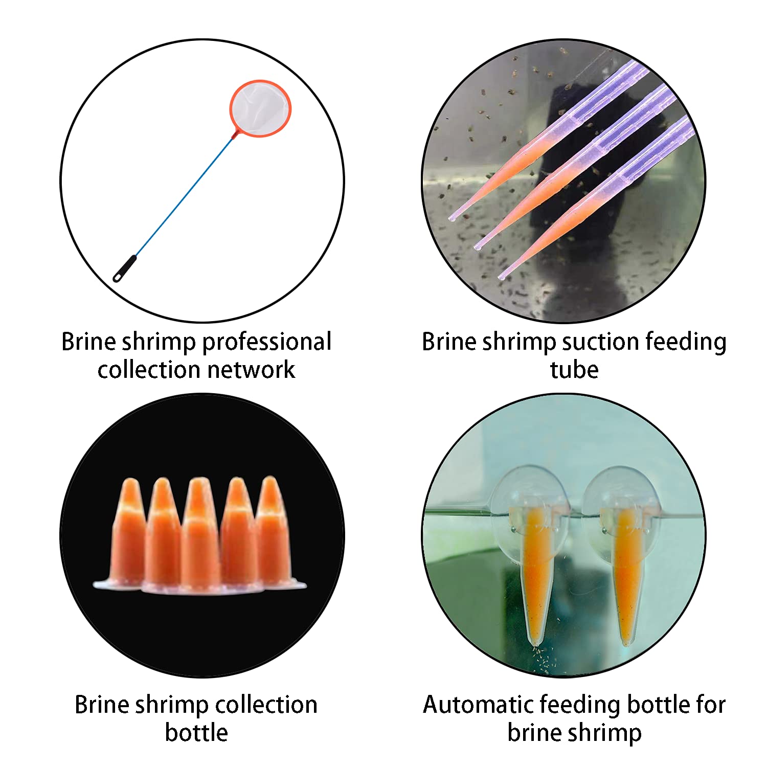 Nestbasics Brine Shrimp Hatchery Kits Brine Shrimp Eggs Incubator Hatchery Brine Shrimp Eggs Incubator Artemia Hatchery Kit Machine