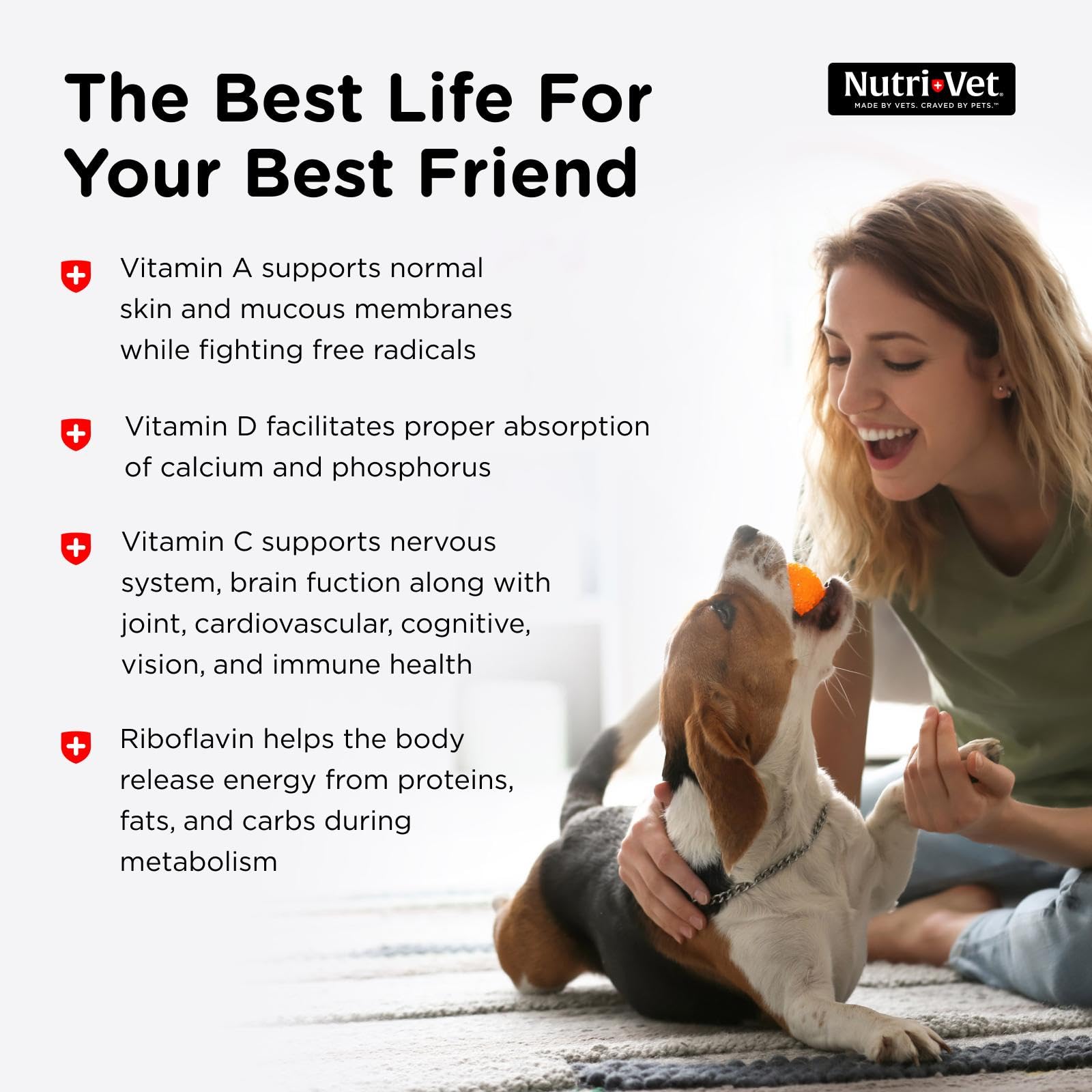Nutri-Vet Multi-Vite Chewables for Adult Dogs, Daily Multivitamin & Mineral Supplement for Overall Health, Immune Support, and B