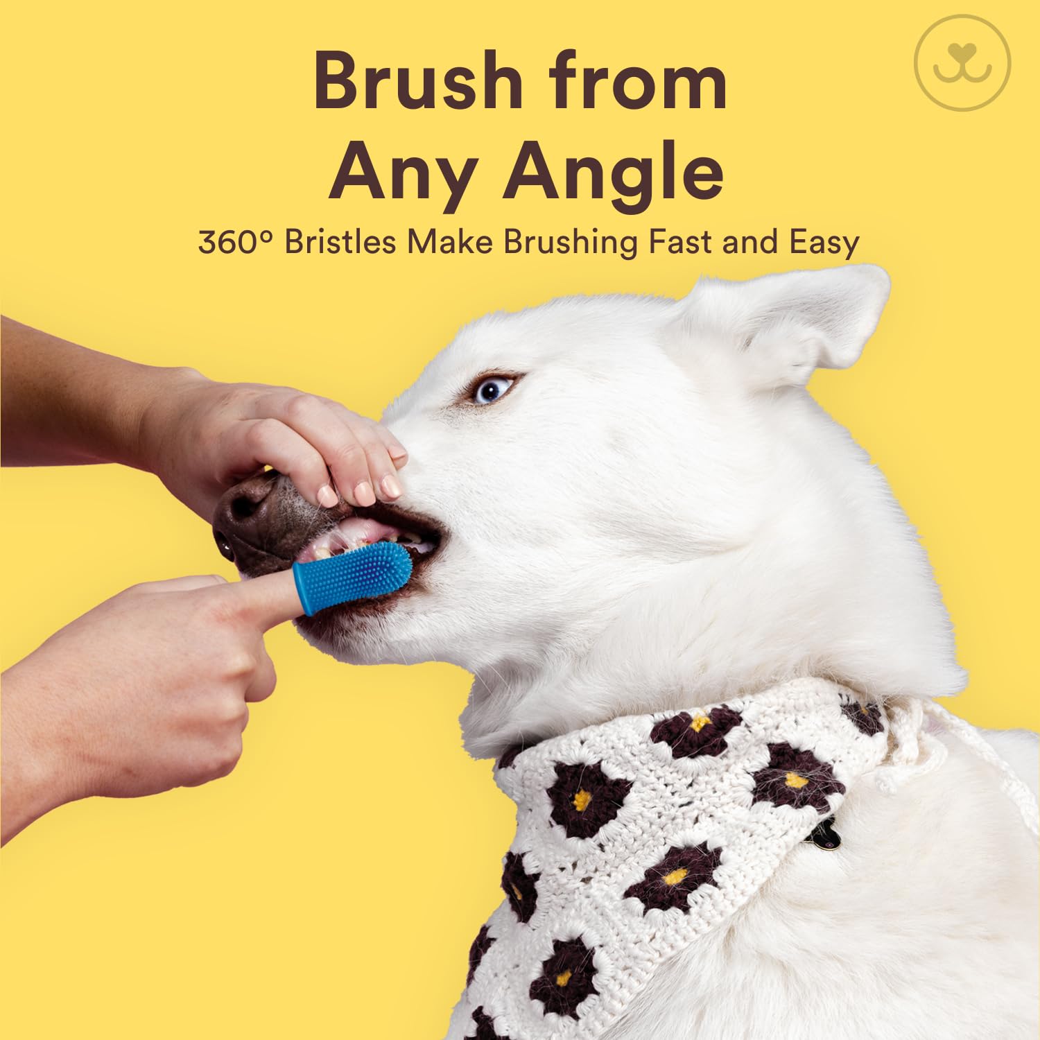 Jasper Large Dog Toothbrush, 360 Degree Pet Tooth Brushing Kit, Cat Toothbrush, Canine Dental Care & Teeth Cleaning Kit, Pet Fin