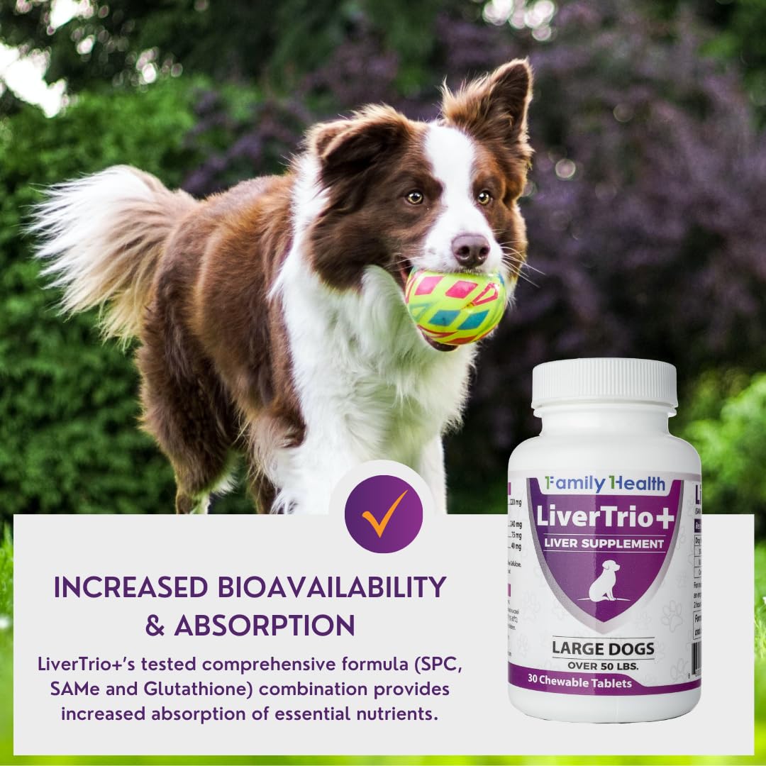 LiverTrio+ Liver Support Supplement for Small-Medium Dogs, Chewable Tablets with Silybin A+B & Glutathione, 30 Ct, Orange