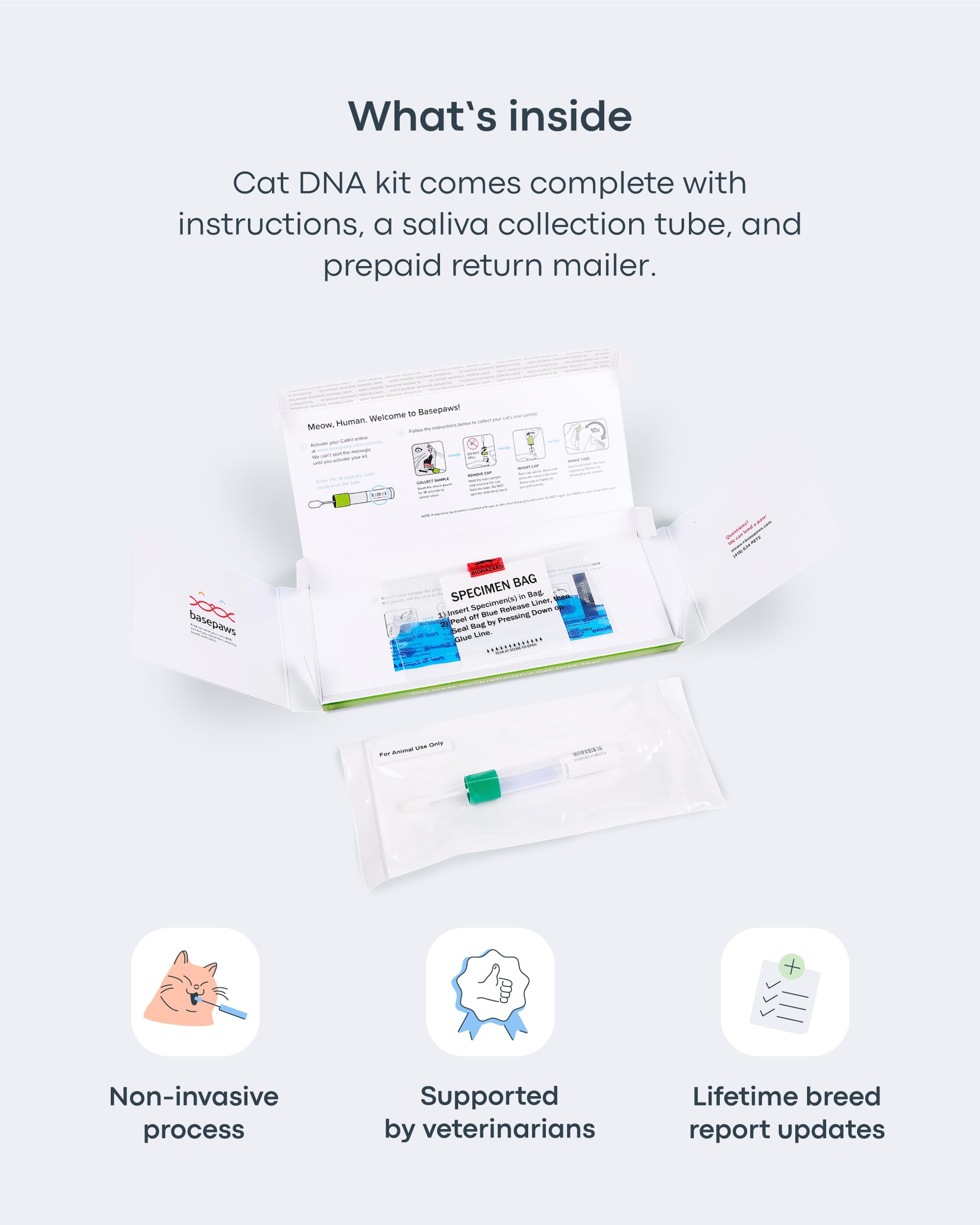 Basepaws Cat DNA Test Kit - Comprehensive Breed, Health and Dental Analysis Across 114 Traits for Accurate and Easy-to-Use Genet