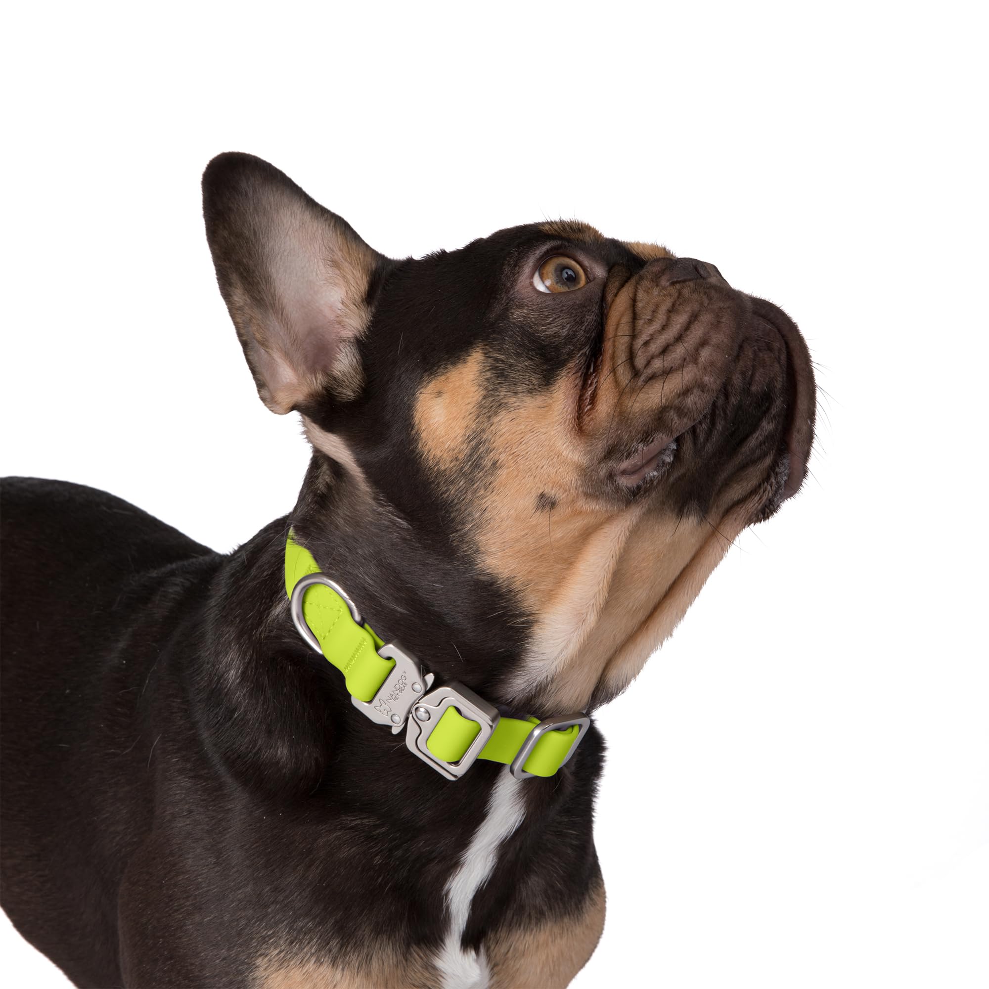 Nandog The Signature Collection Waterproof Poly-Flex Sport Dog Collar In Large, Neon Green - Durable & Adjustable Design - Comfo