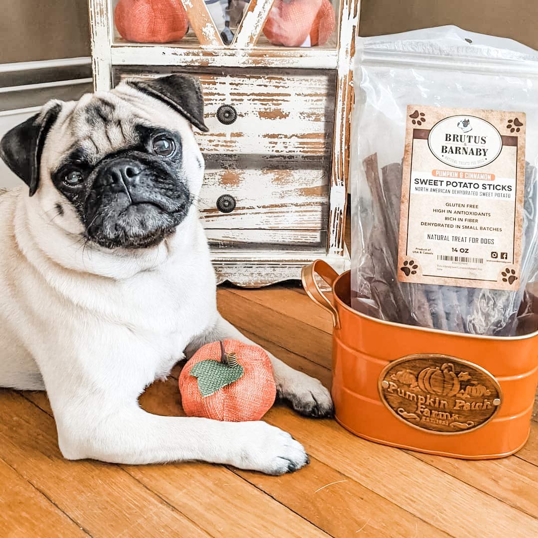 BRUTUS & BARNABY USA Sweet Potato Dog Treats - Grain Free, Cinnamon Pumpkin Crunchy Sticks are Great Tasting, Promotes Positive
