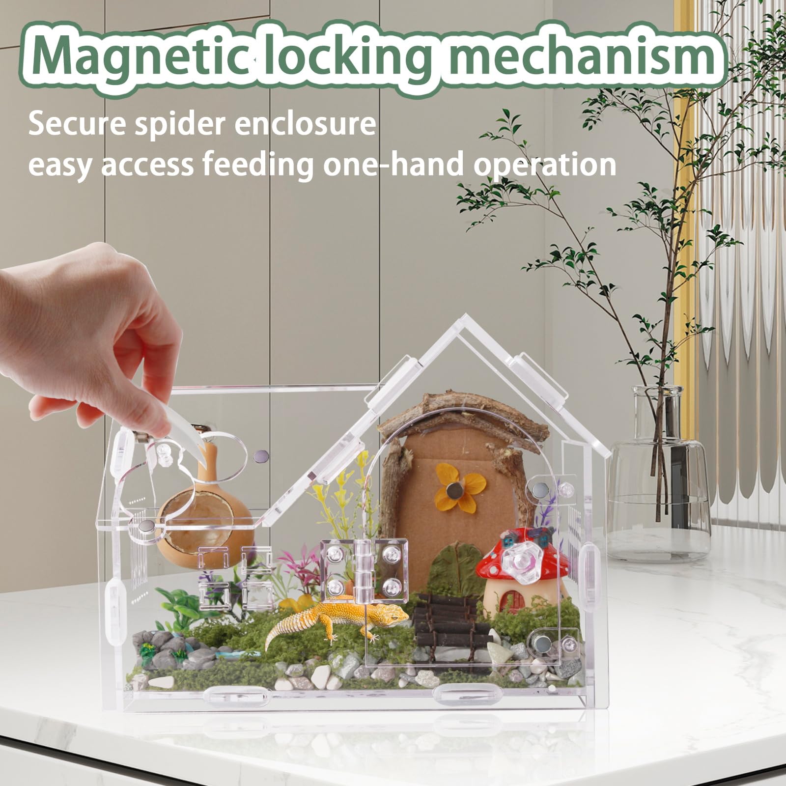Acrylic Jumping Spider Enclosure with Magnetic Door - Transparent Tarantula Terrarium for Pet Spiders - Secure & Ventilated Rept
