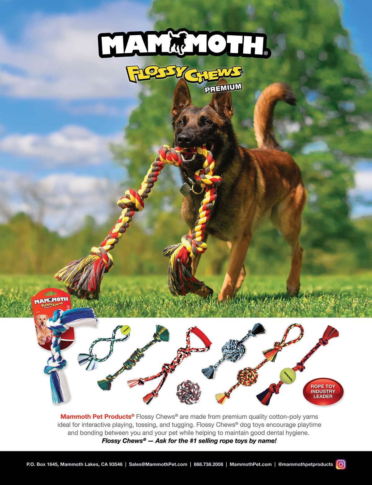 Mammoth Pet Products 43720077: Color Twin Tug Toy With Rubber Handle, Lg