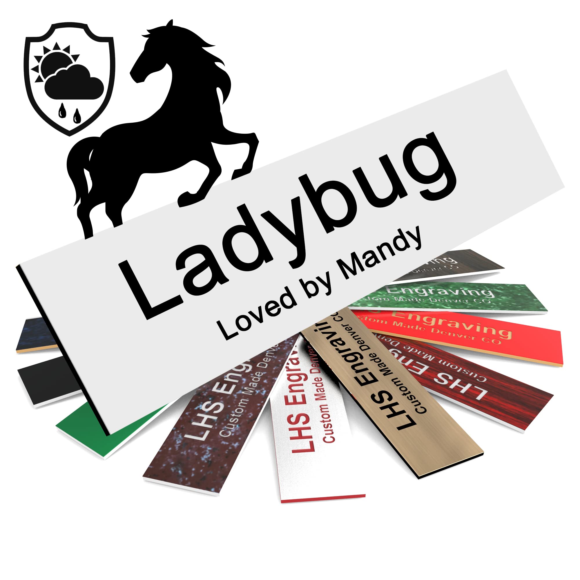 Lhs | Personalized Horse Stall Name Plates, 2X12 Horse Stall Signs With Adhesive, All Weather Uv Protected, White Plastic Black 