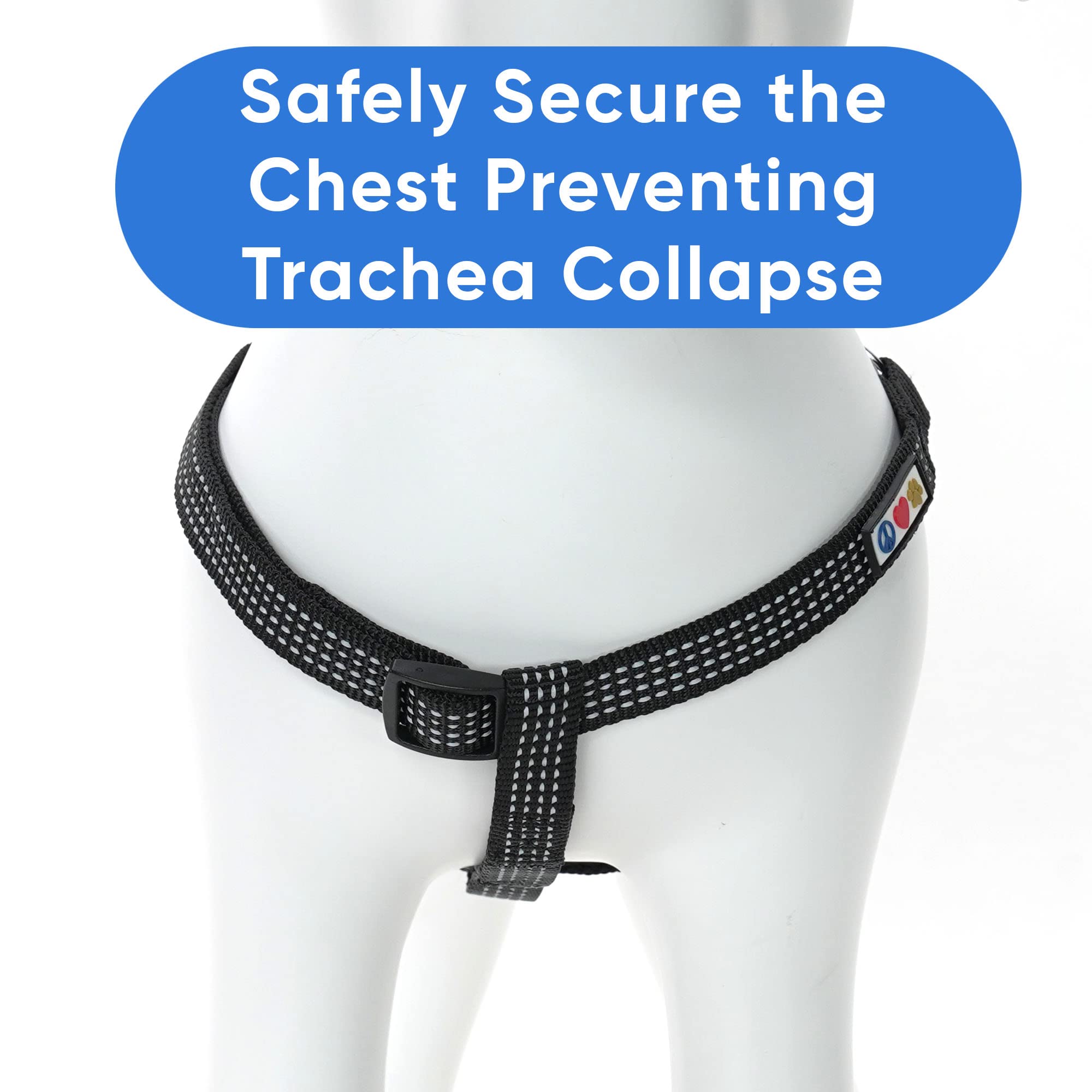 Pawtitas Dog Harness Small Sized Dog Black Dog Harness Step in from a Senior Dog to a Puppy Harness Adjustable Reflective Dog Ha