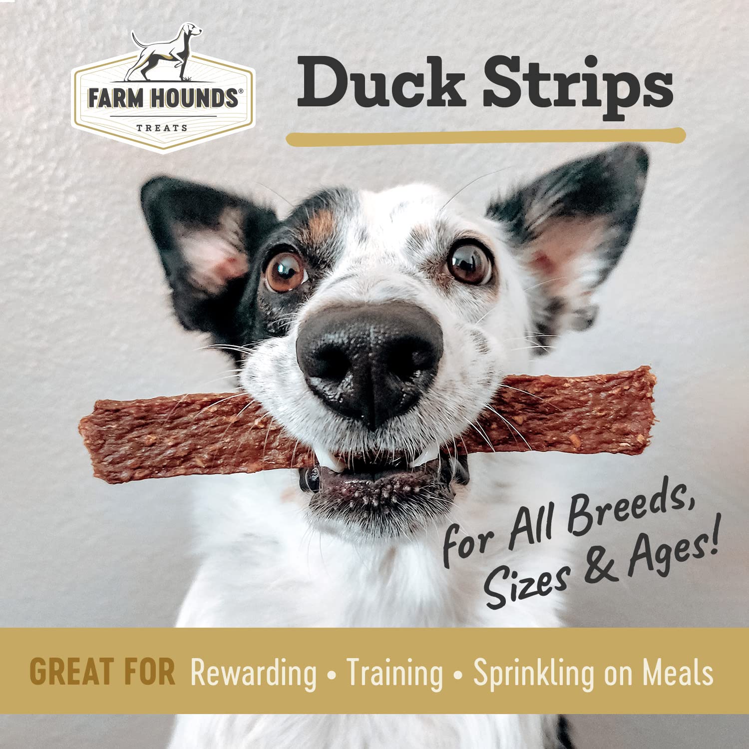 Farm Hounds - Duck Strips - Premium Natural Jerky for Dogs - Made from 100% Humanely Raised Duck - Break-to-Size - Great for Tra