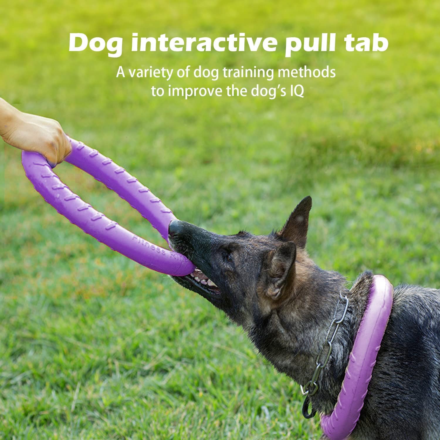 Dog Indestructible Durable Floating Flying Disc Dog Ring Chew Toys For Pool Swimming,Throwing,Catching,Grabbing Pitch Toss Outdo