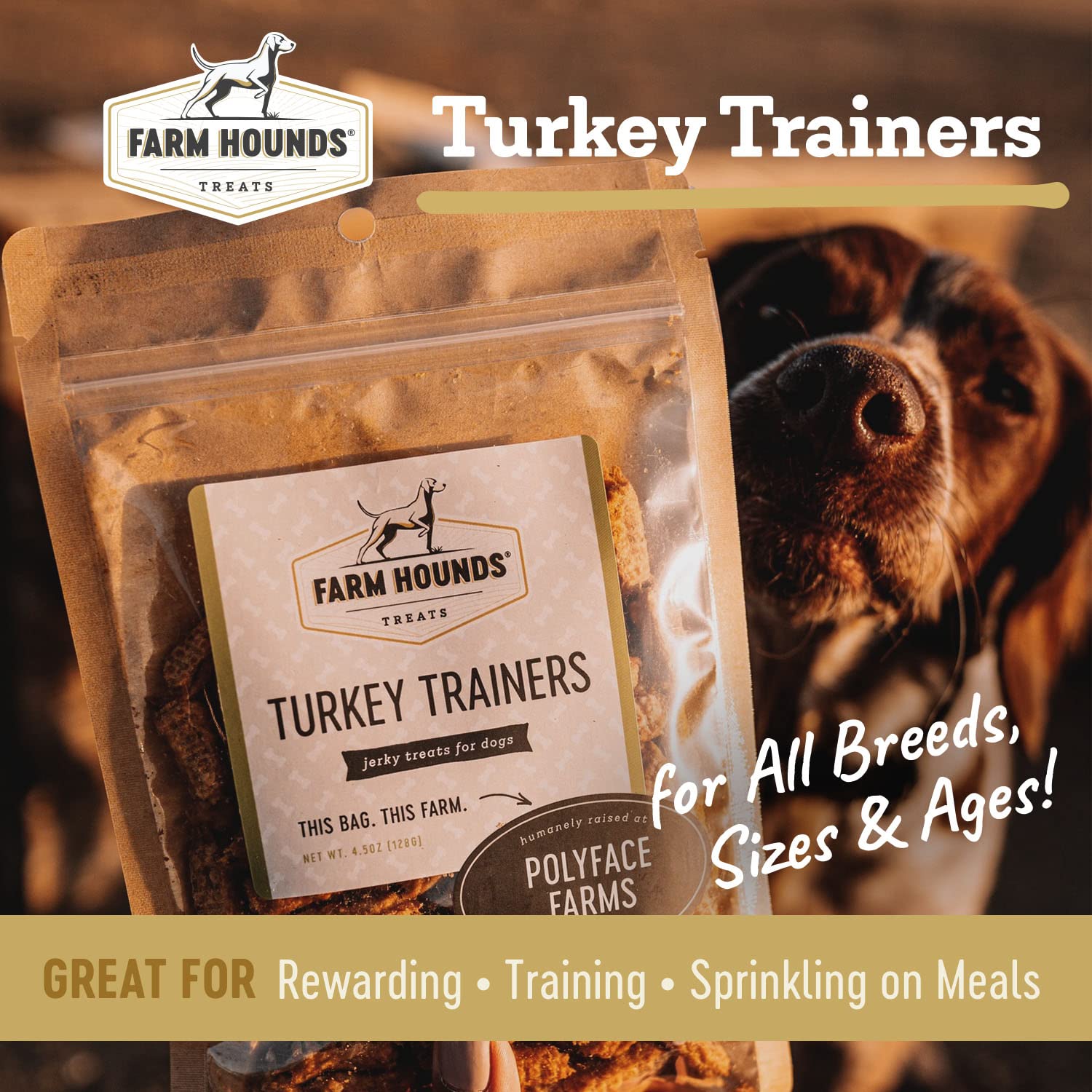 Farm Hounds - Turkey Trainers - Premium Natural Jerky for Dogs - 100% Humanely Raised Turkey - Easy-Break - Great for Training &