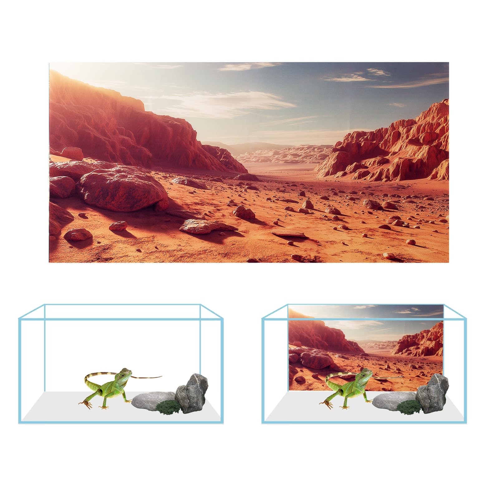 COMSUN 3 Pack Terrarium Background, 60x24 inches Polyester Reptile Background, Cloth Terrarium Backgrounds, Gobi Sunshine Cactus