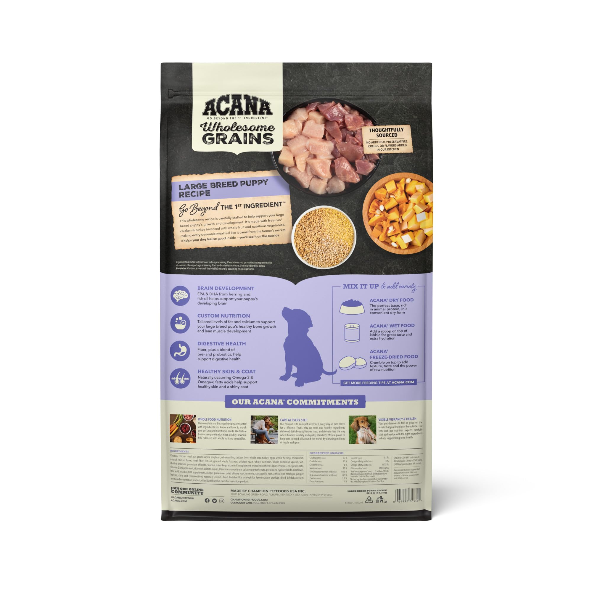 ACANA Wholesome Grains Dry Dog Food, Large Breed Puppy Recipe, Chicken Dog Food, 22.5lb
