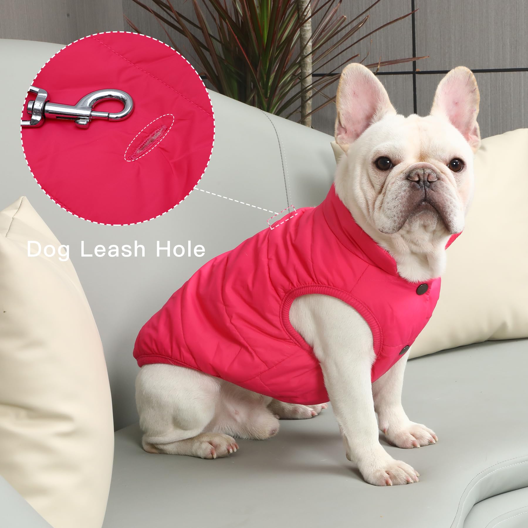 Joydaog 2 Layers Fleece Lined Warm Dog Jacket For Winter Cold Weather,Soft Windproof Large Dog Coat,Pink Xxxl
