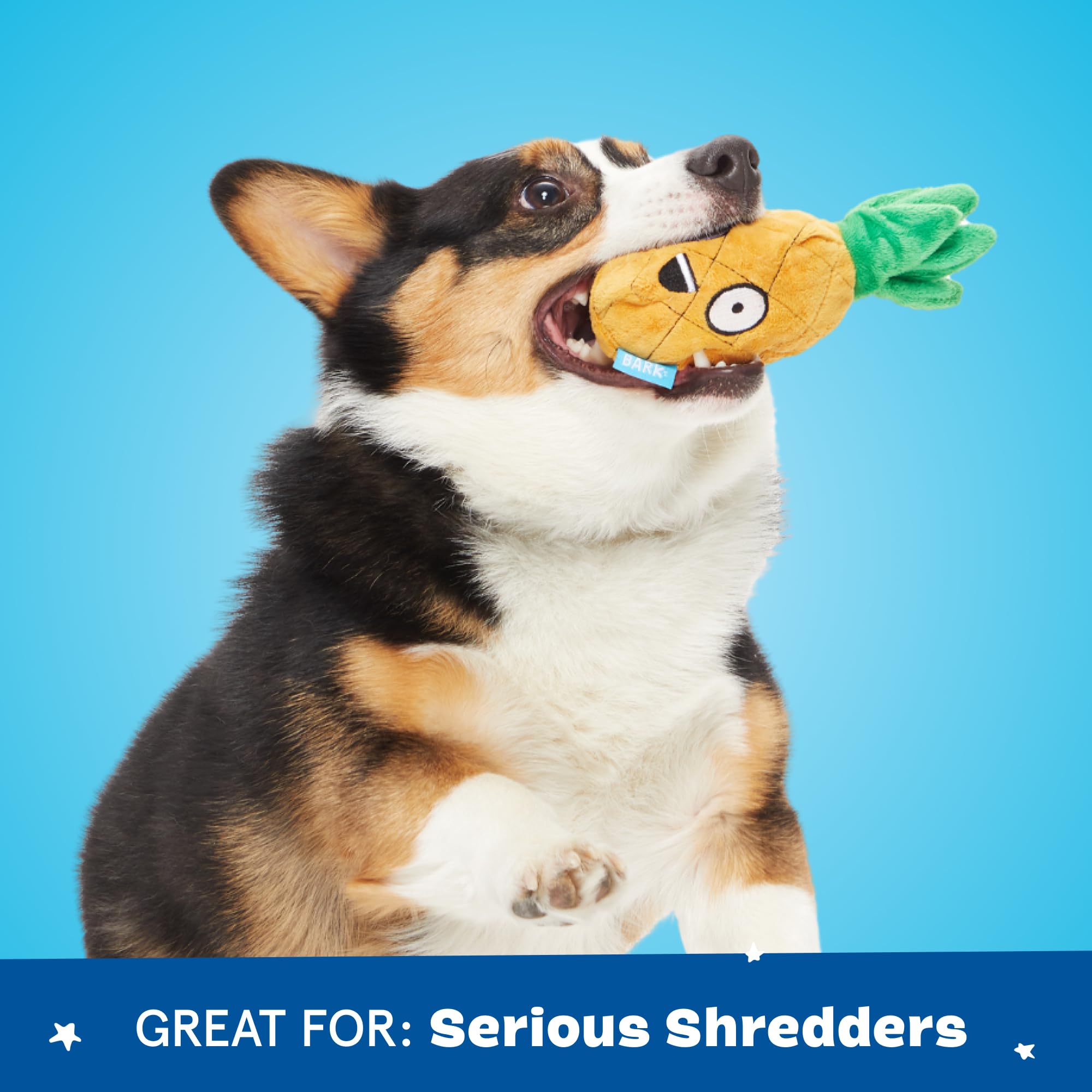 Barkbox Dog Toy 2 in 1 Interactive Plush Exterior with Squeaker & Crinkle Material, Tearable Dog Toy with Squeaky Spikey Ball In