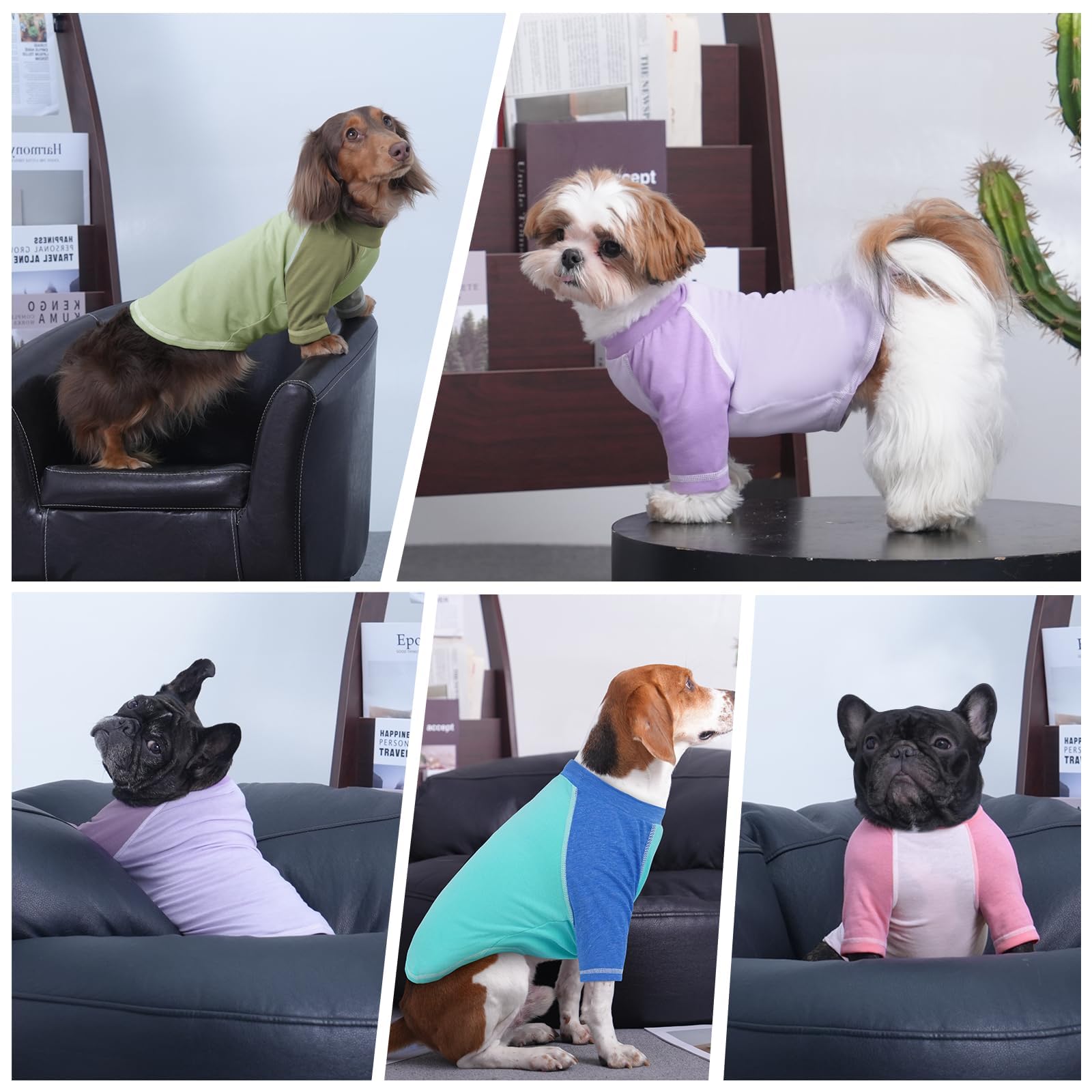 2 Pack Dog T-Shirt With Raglan Sleeves, Bluegreen, X-Large Cozy Dog Summer Shirt, Bright Color Blue Green For Medium Dog Boys, S