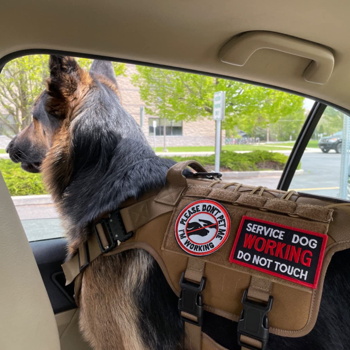 10 Pieces Service Dog K9 Please Don'T Pet Me In Training No Touch Full Embroidered Badge Emblem Patch For Service Dogs Harness V
