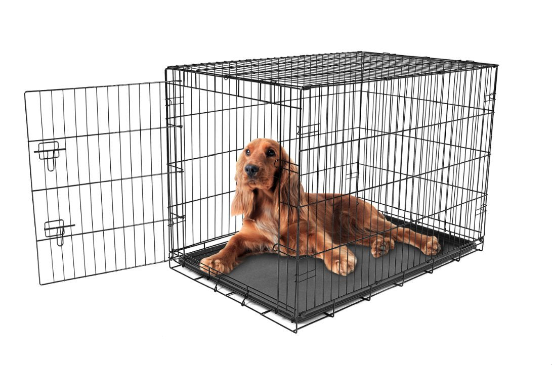 Carlson Pet Products Secure And Foldable Single Door Metal Dog Crate, Intermediate