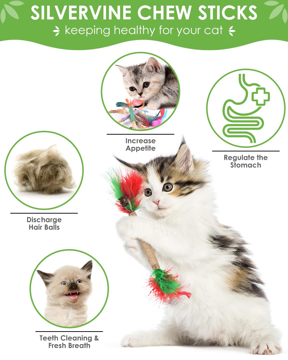 TINDTOP Cat Chew Toys, 12 Pack Silvervine Chew Sticks with 2 Pack Chew Ropes for Kittens Teeth Cleaning, Increase Appetite, Aggr